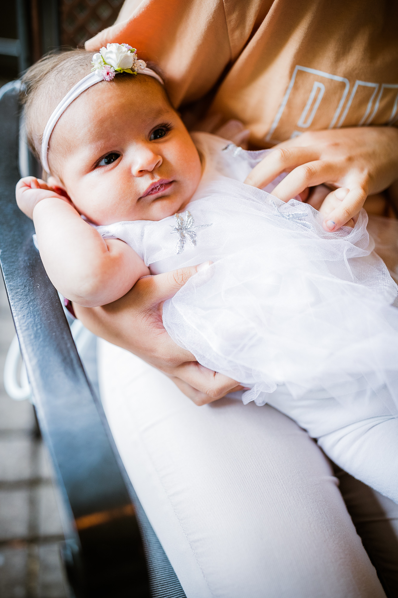 Export x3 1DX24108 Raw