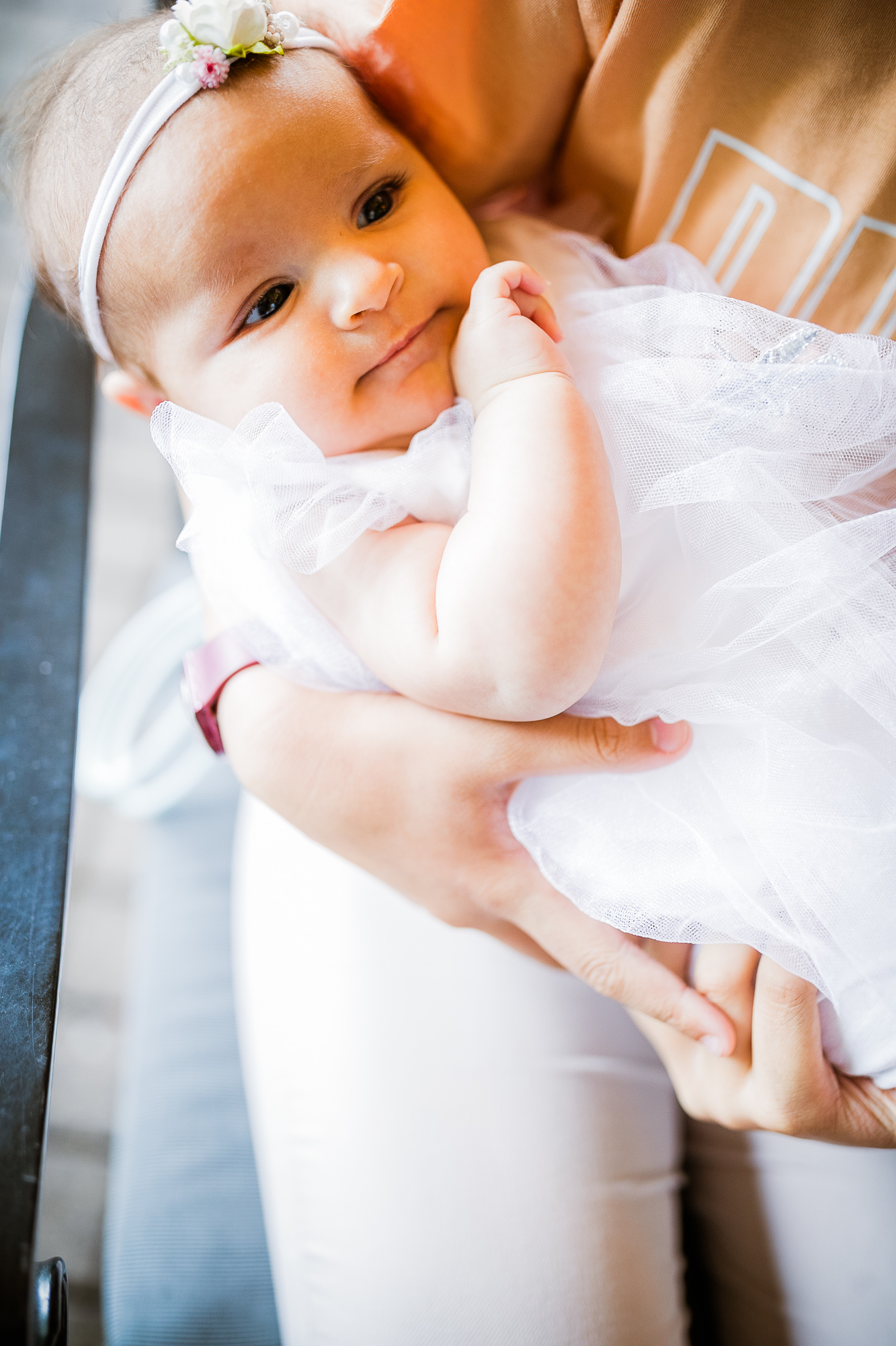 Export x3 1DX24113 Raw