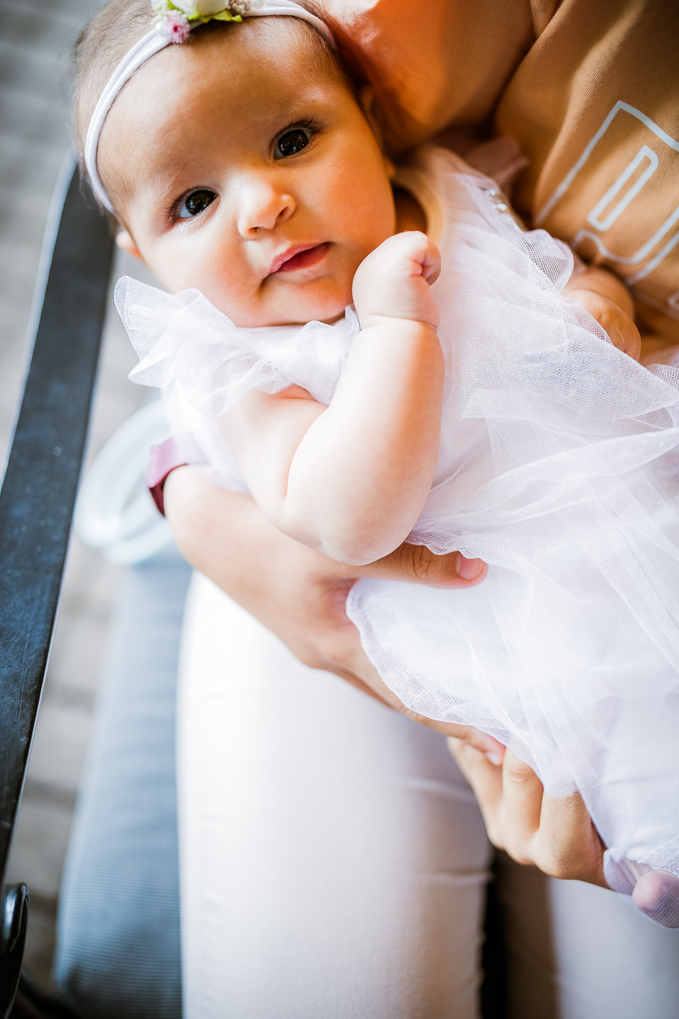 Export x3 1DX24114 Raw