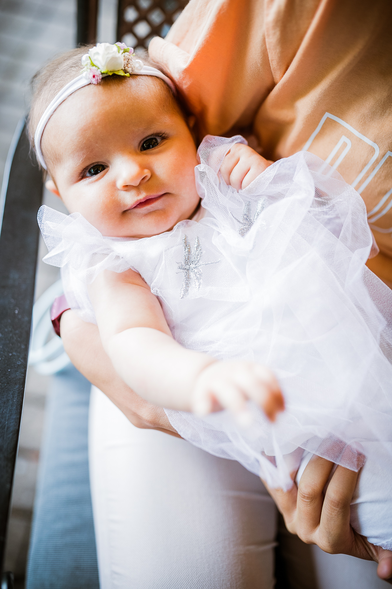 Export x3 1DX24115 Raw