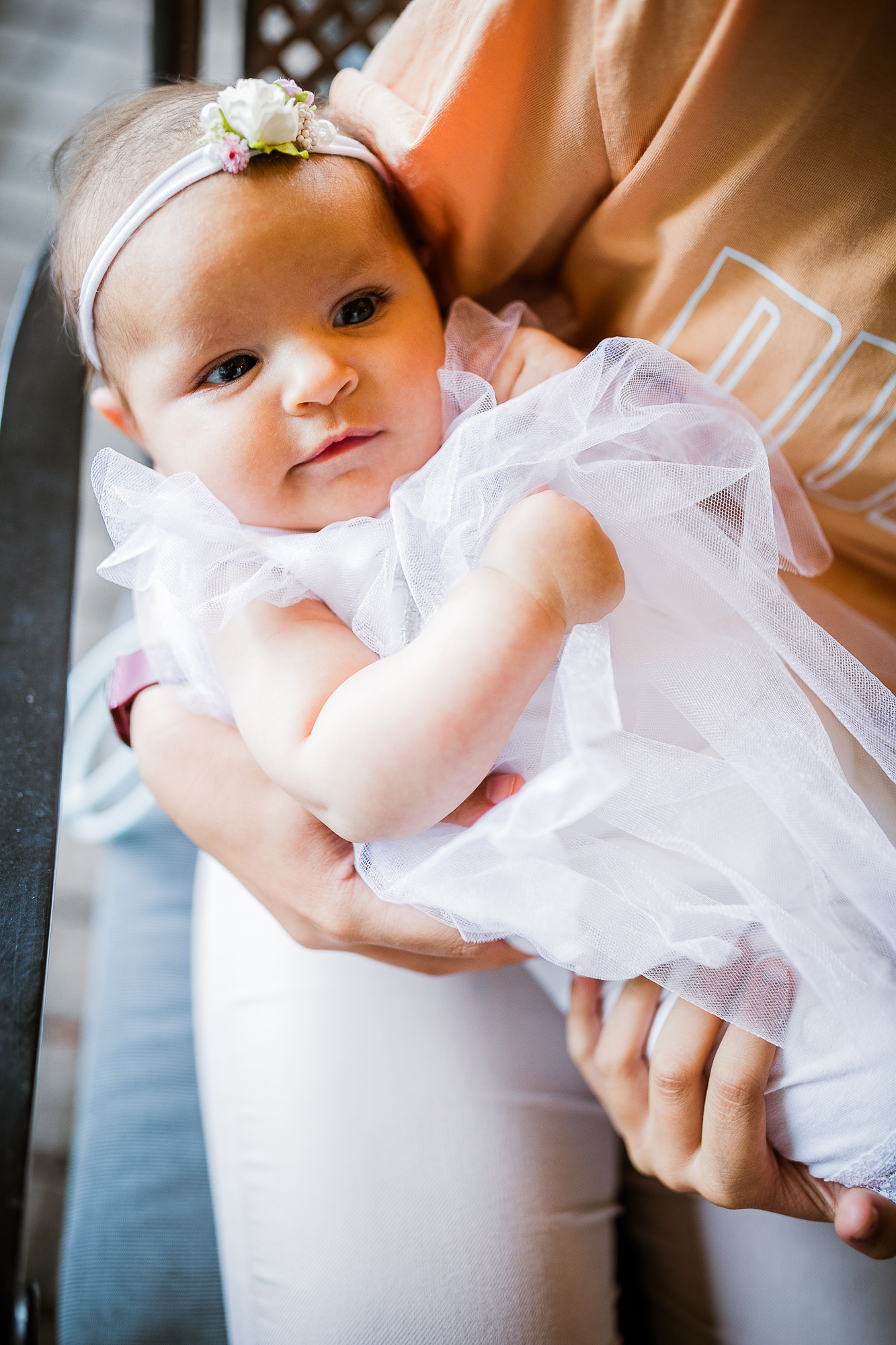 Export x3 1DX24116 Raw