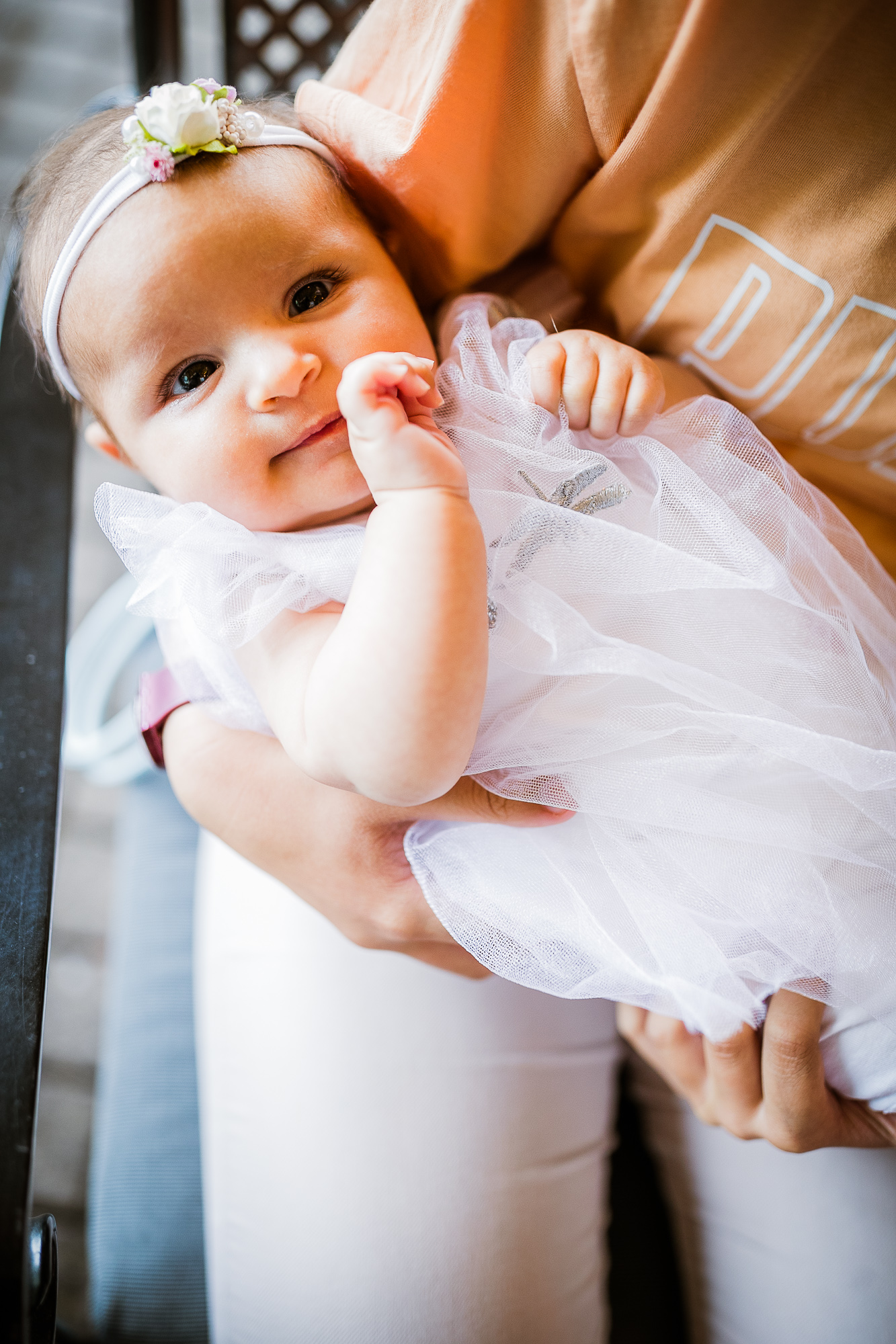 Export x3 1DX24118 Raw