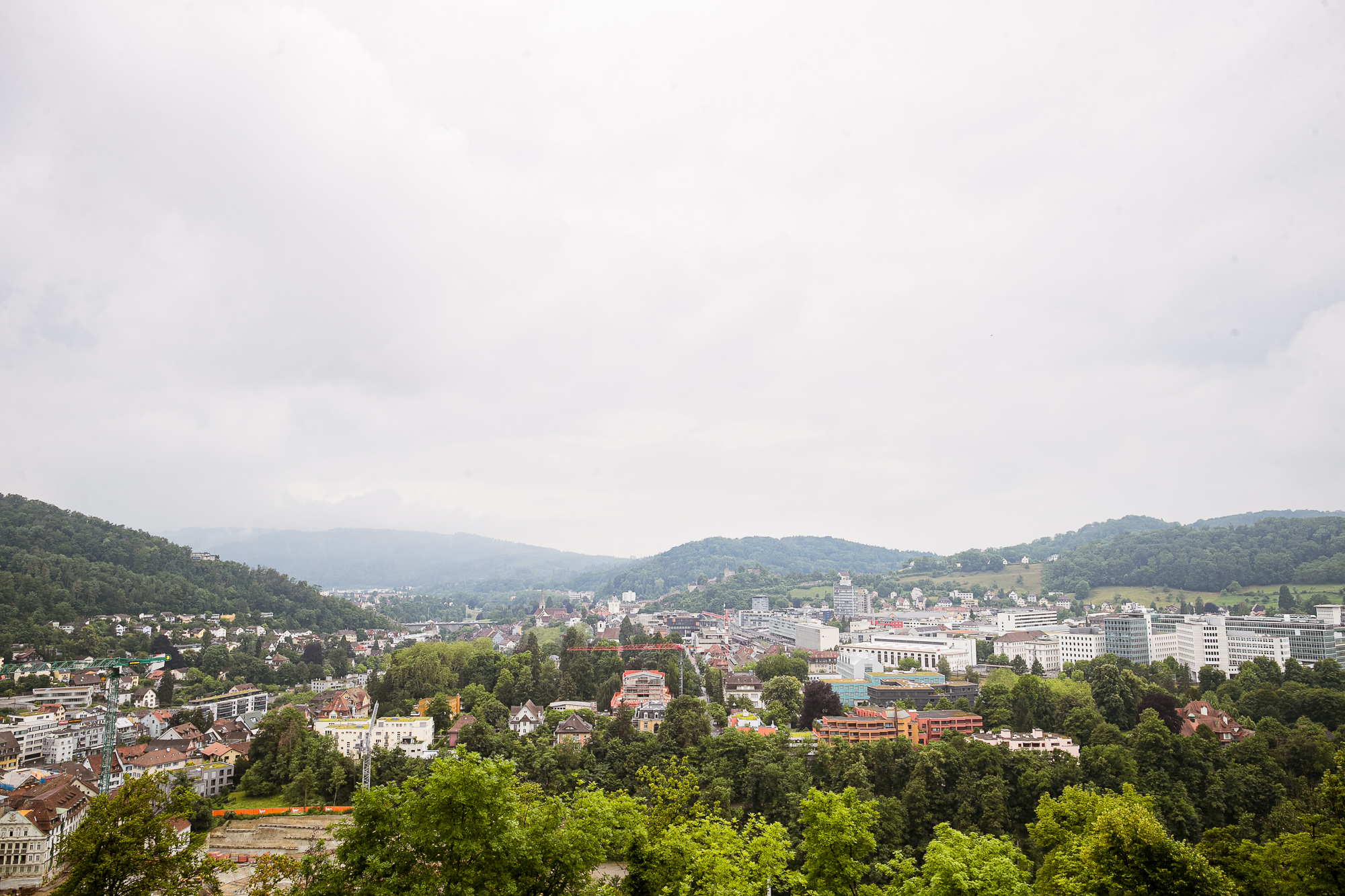 Export x3 1DX24202 Raw