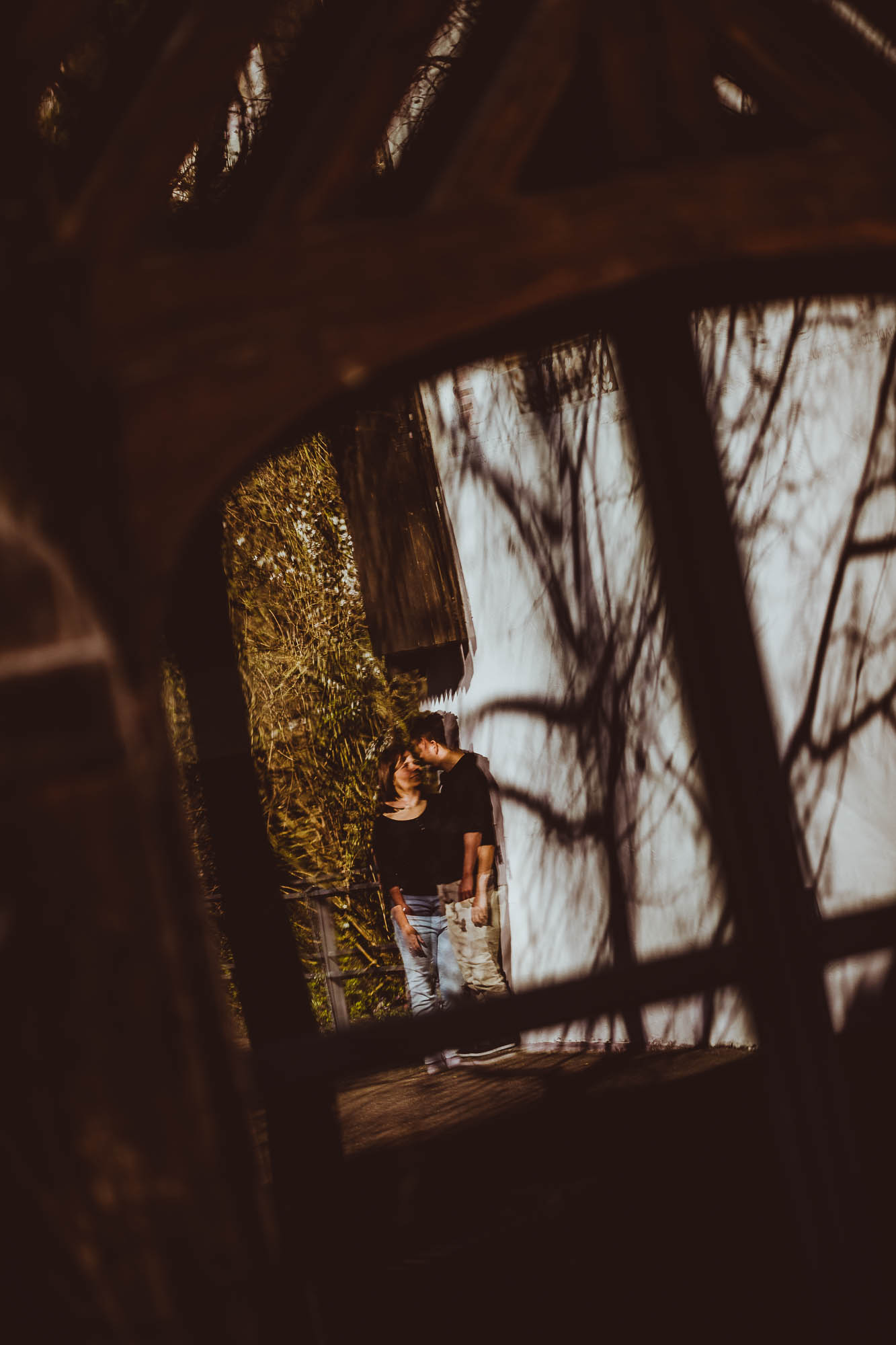 Export x3 1DX24271 Paarshooting 2