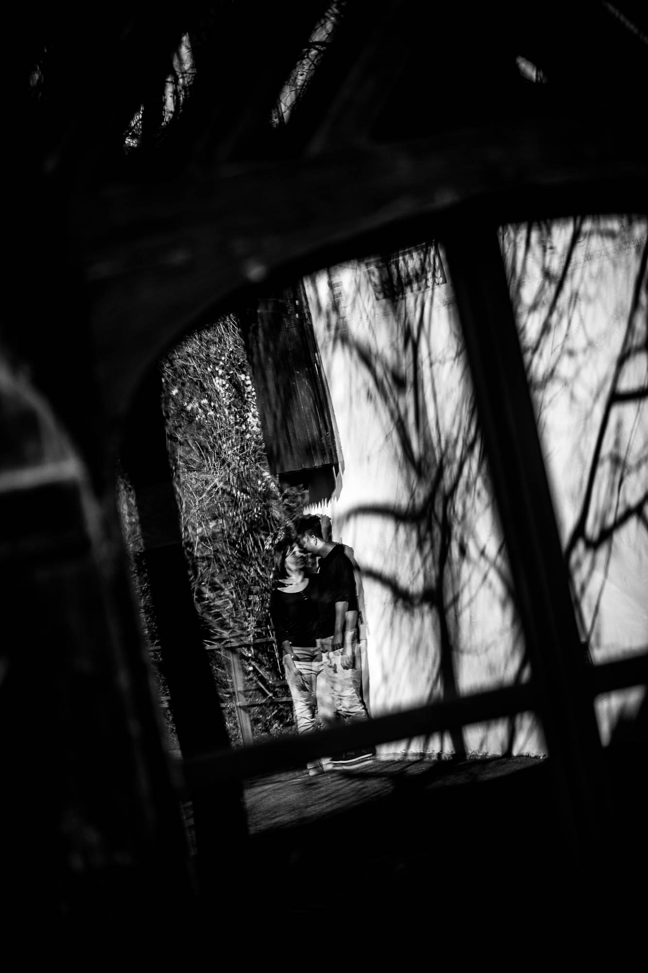 Export x3 1DX24271 Paarshooting