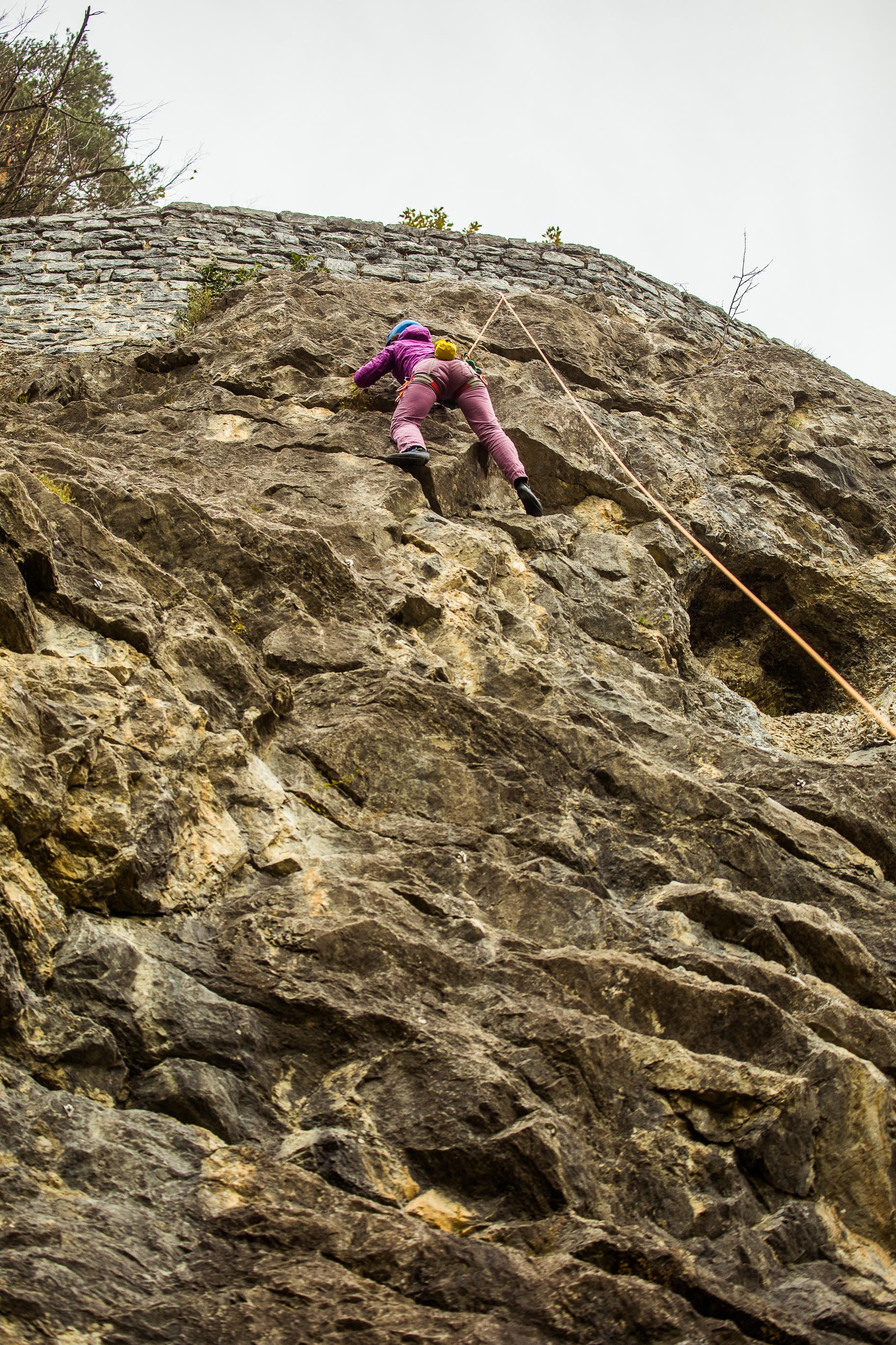 Export medium 5D4 9164 00006