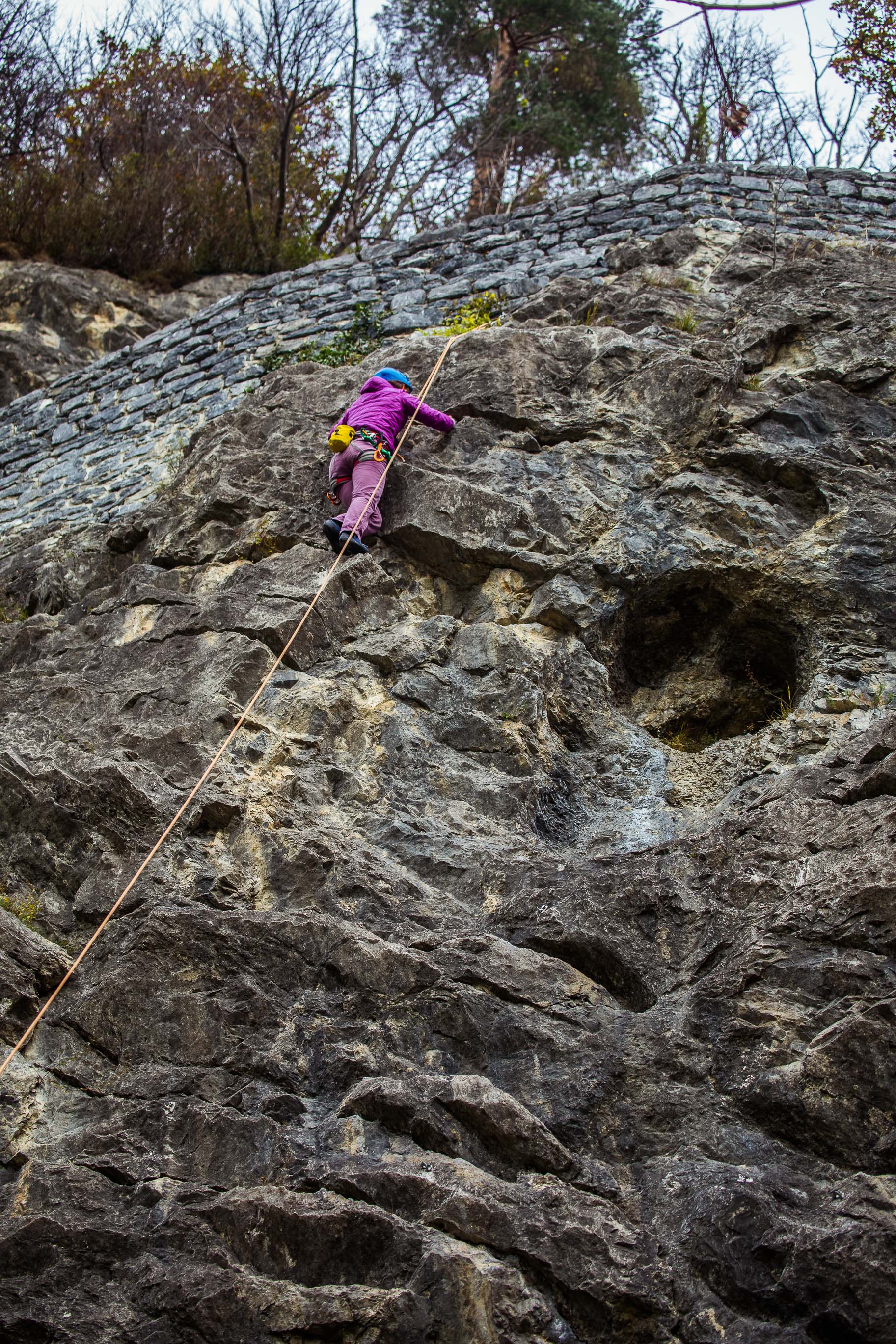 Export medium 5D4 9172 00010