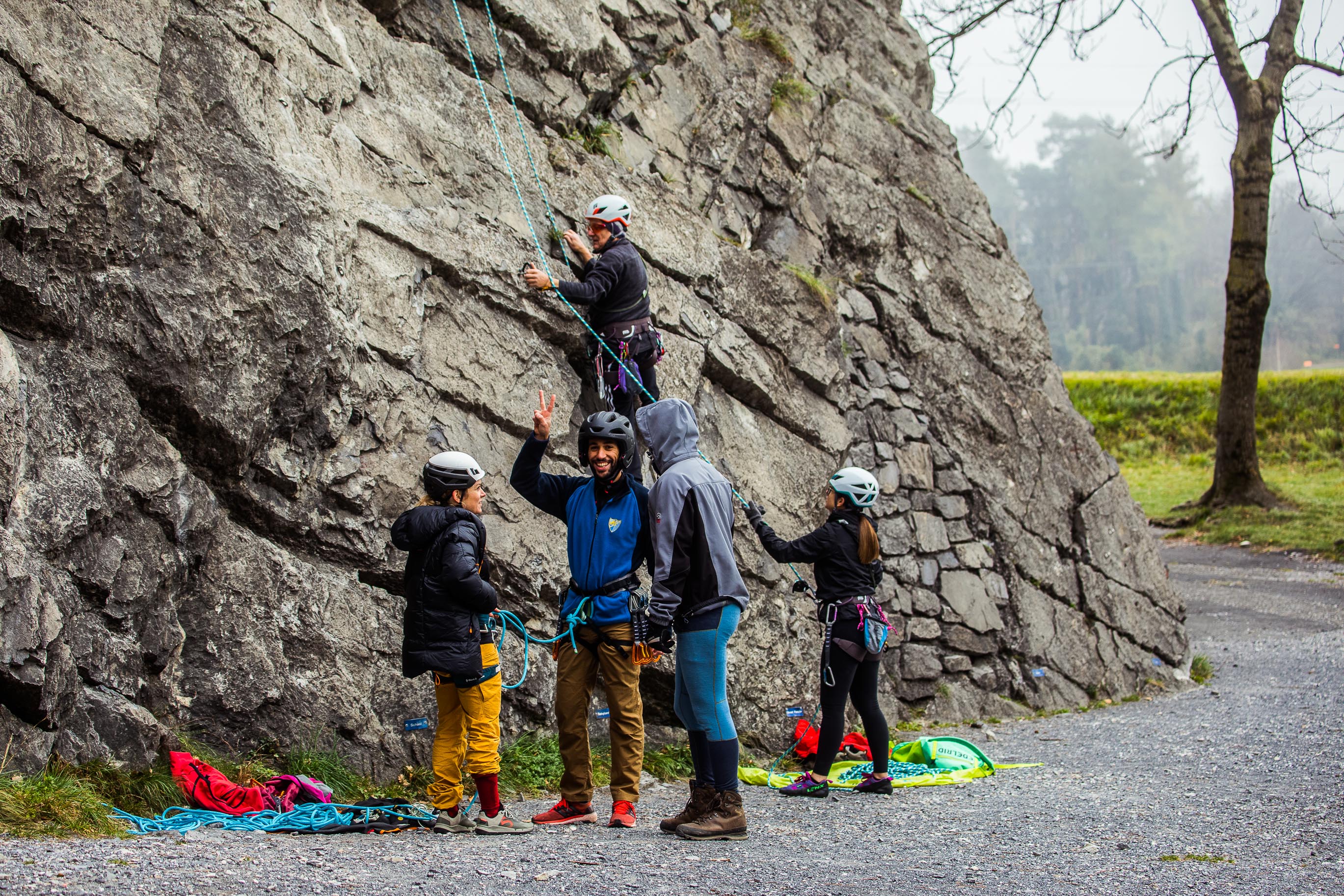 Export medium 5D4 9176 00011