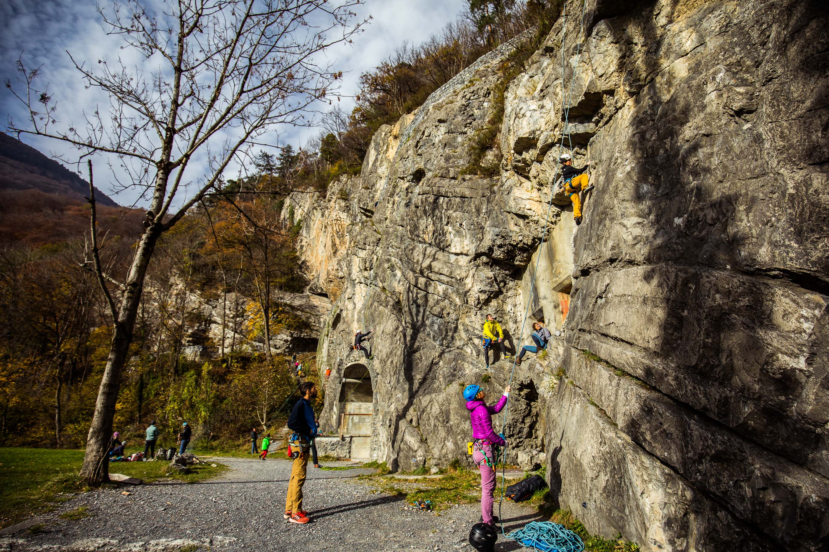 Export medium 5D4 9248 00051