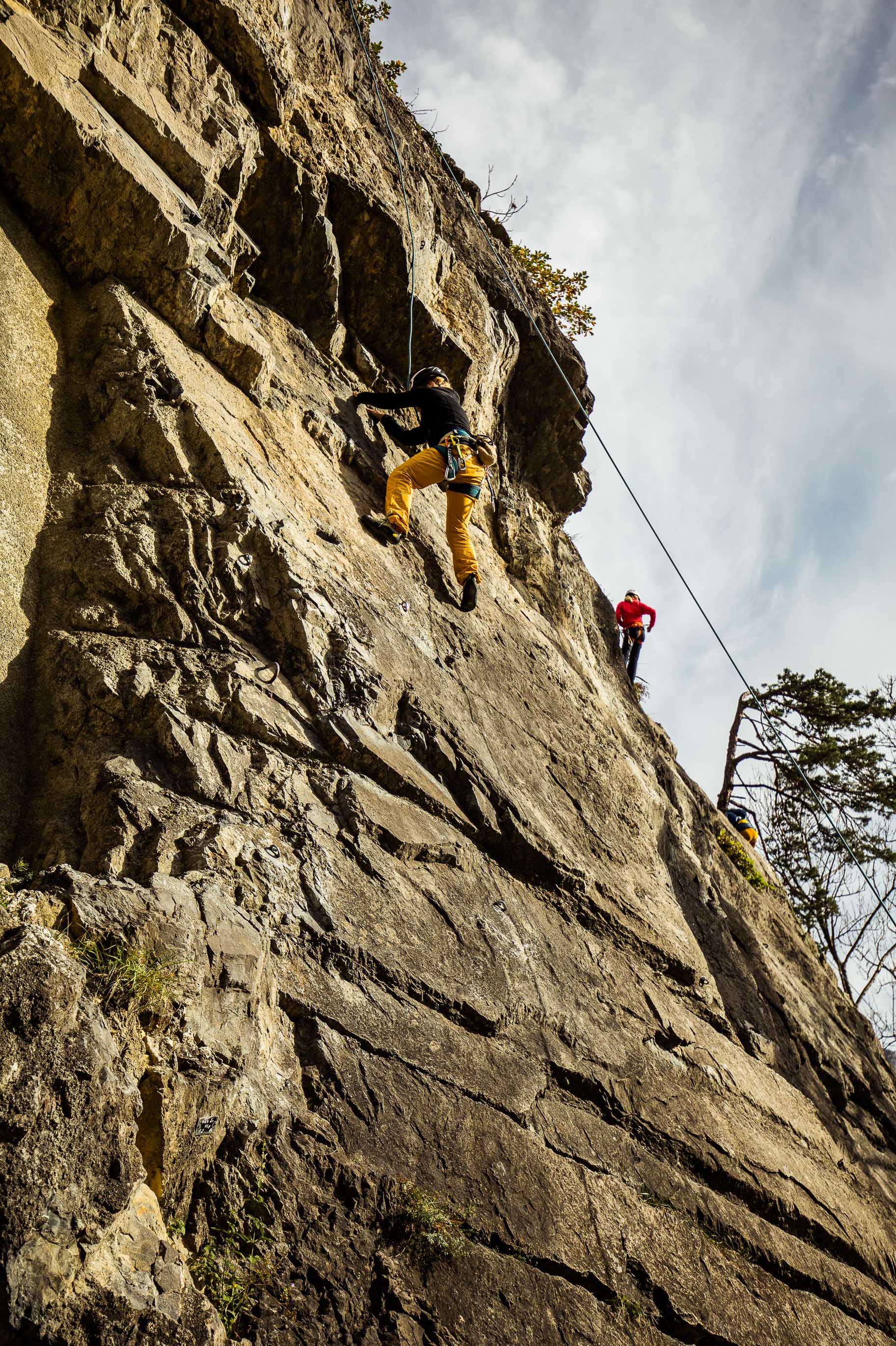 Export medium 5D4 9254 00055