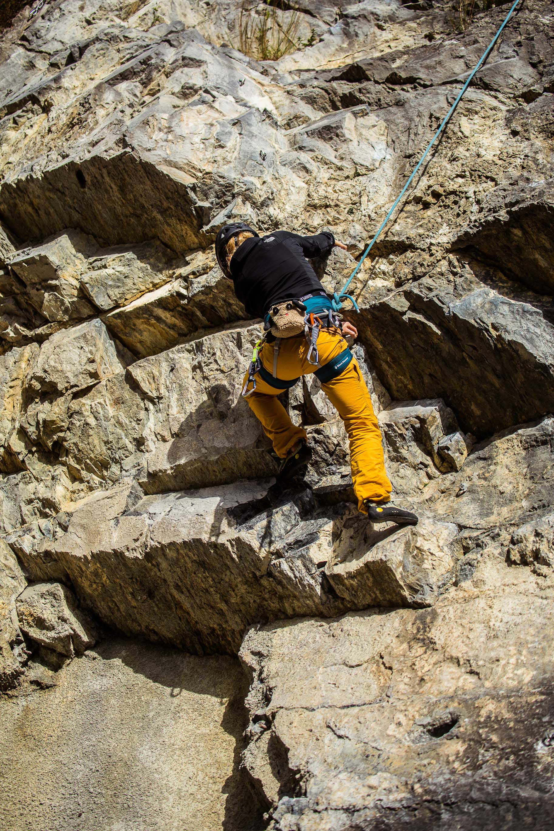 Export medium 5D4 9272 00064