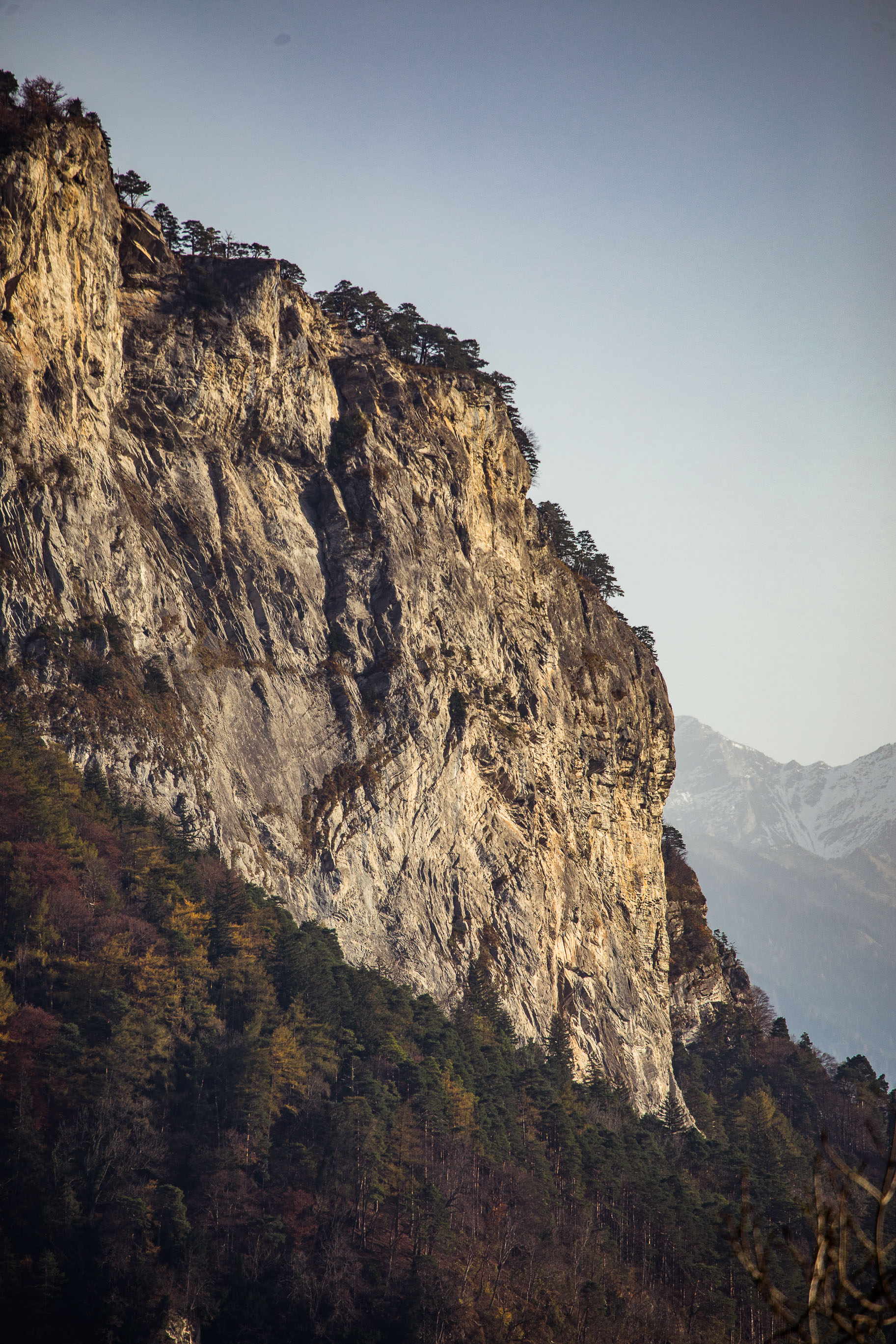 Export medium 5D4 9326 00093