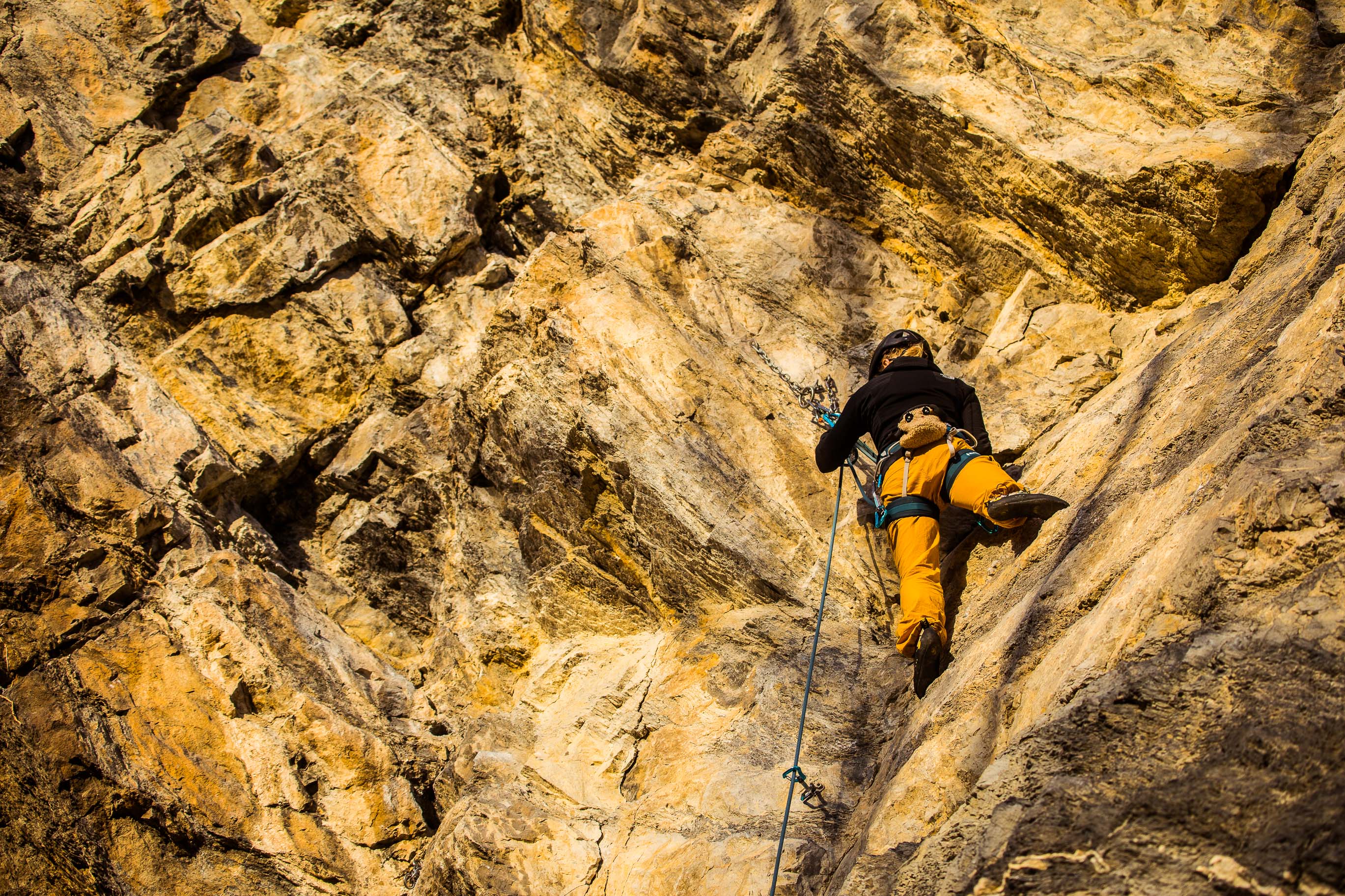 Export medium 5D4 9329 00094