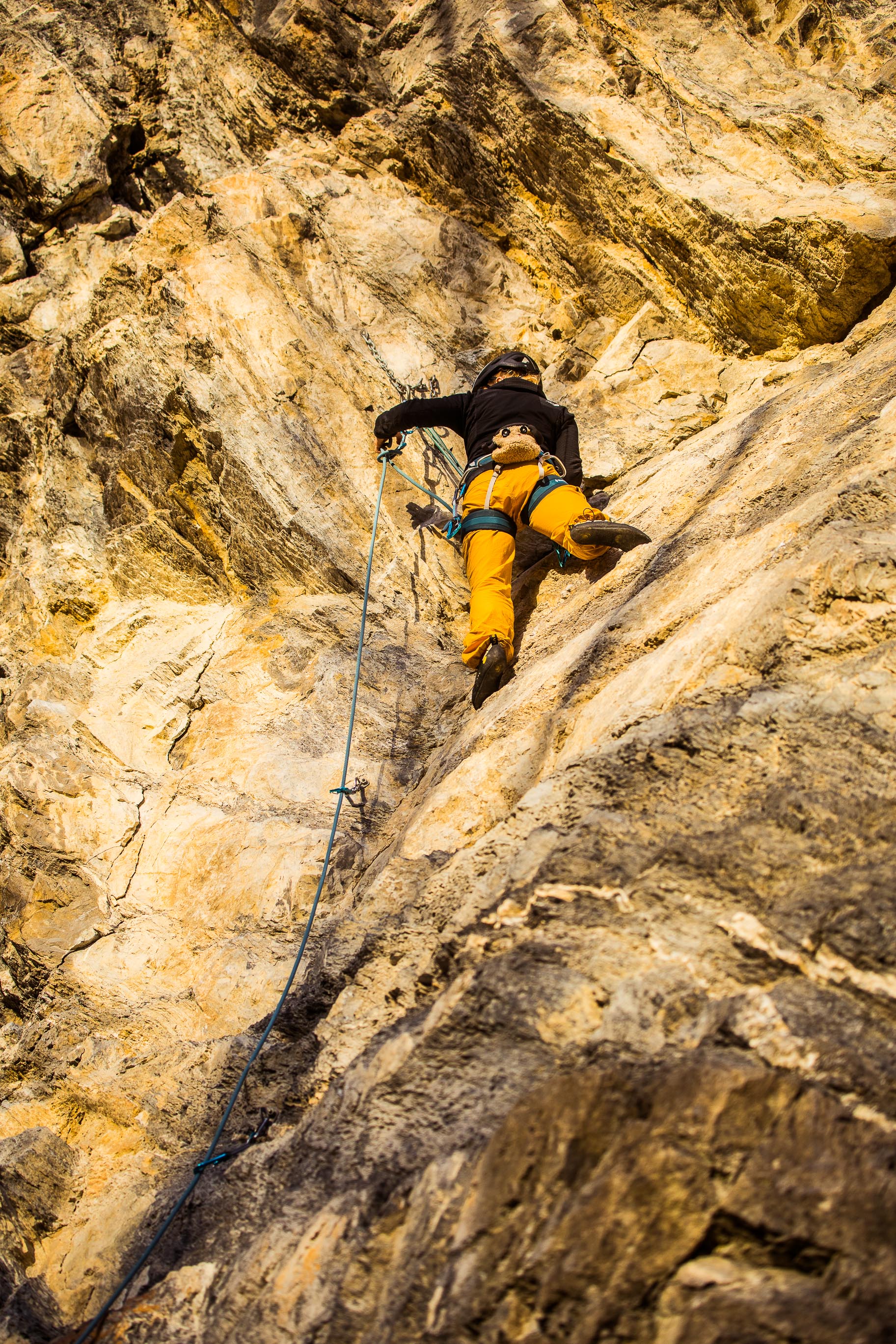 Export medium 5D4 9331 00095