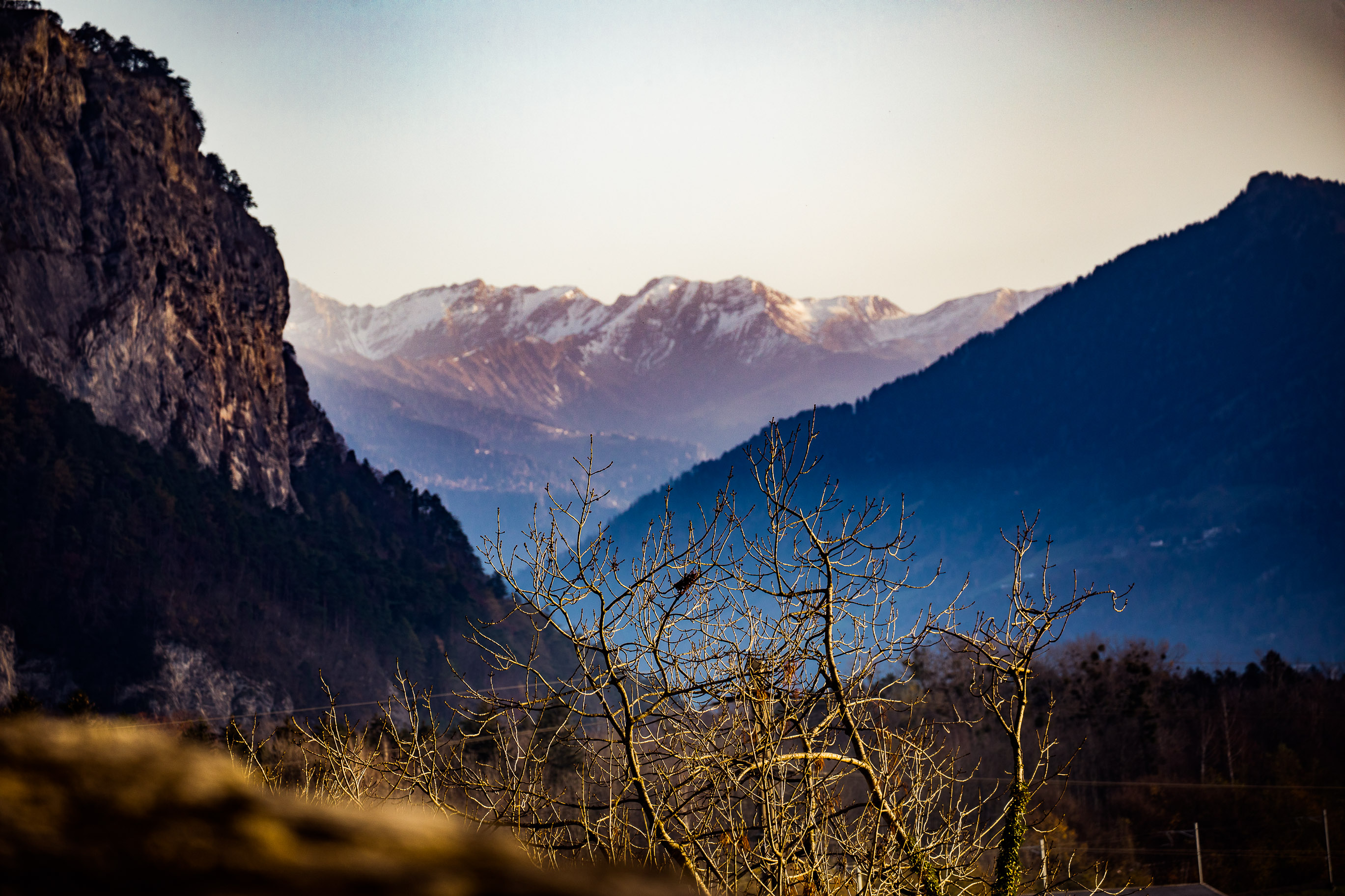 Export medium 5D4 9339 00101