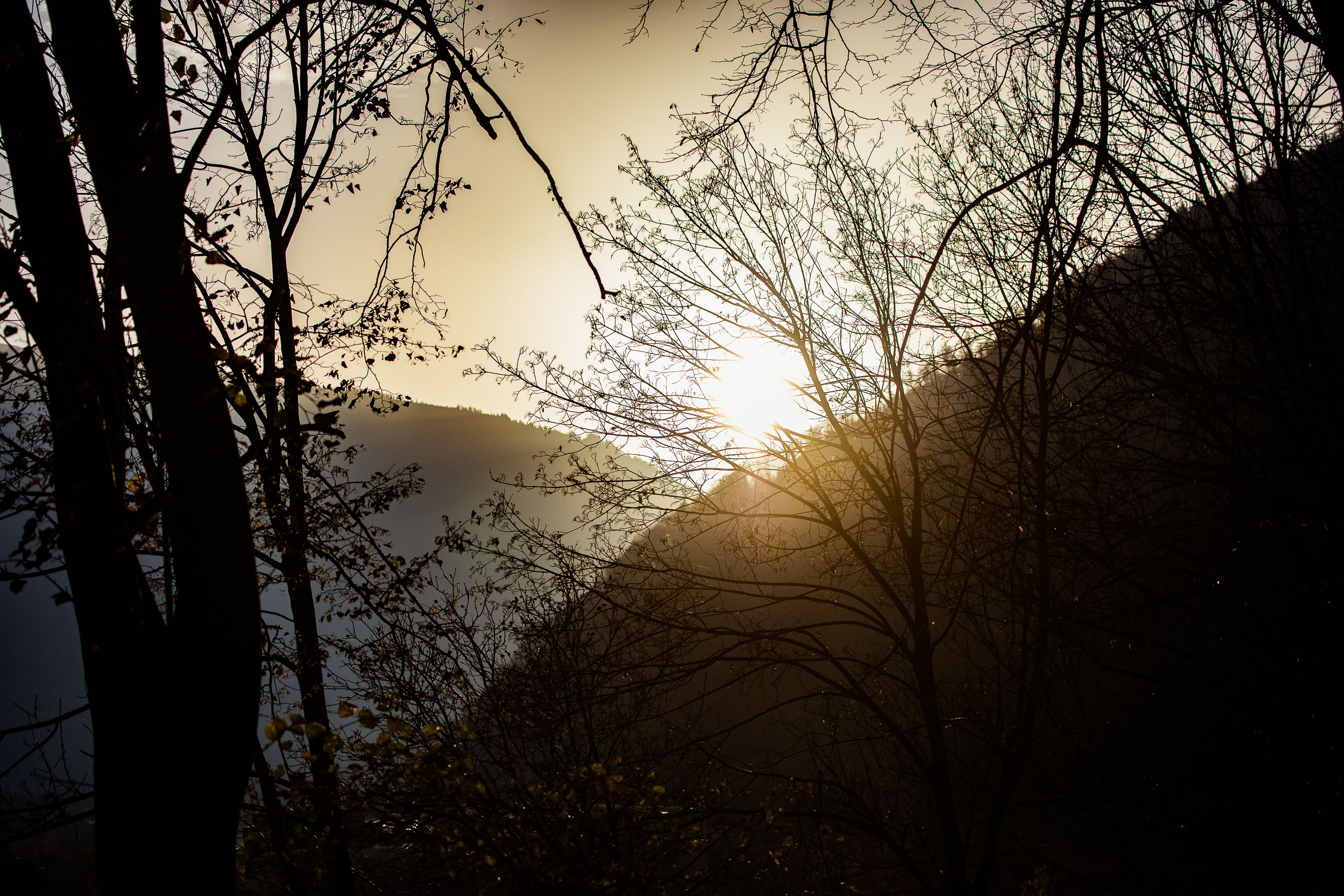 Export medium 5D4 9341 00103