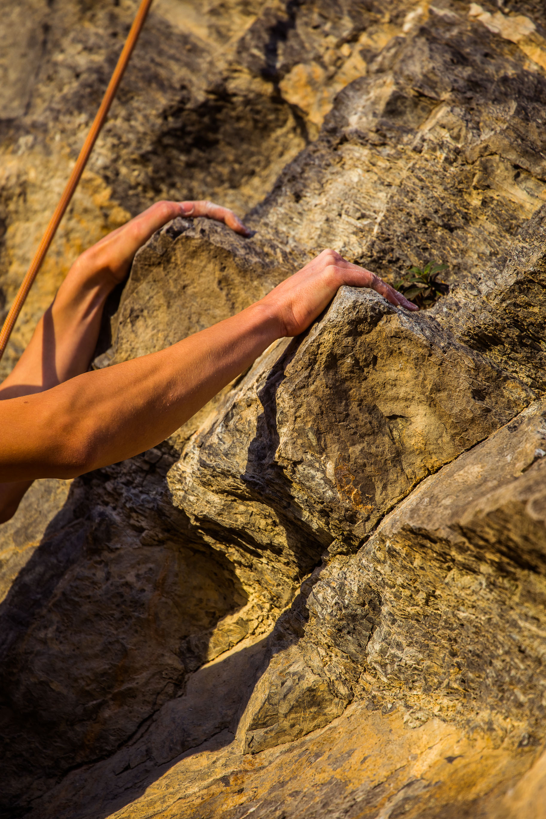 Export medium 5D4 9350 00112