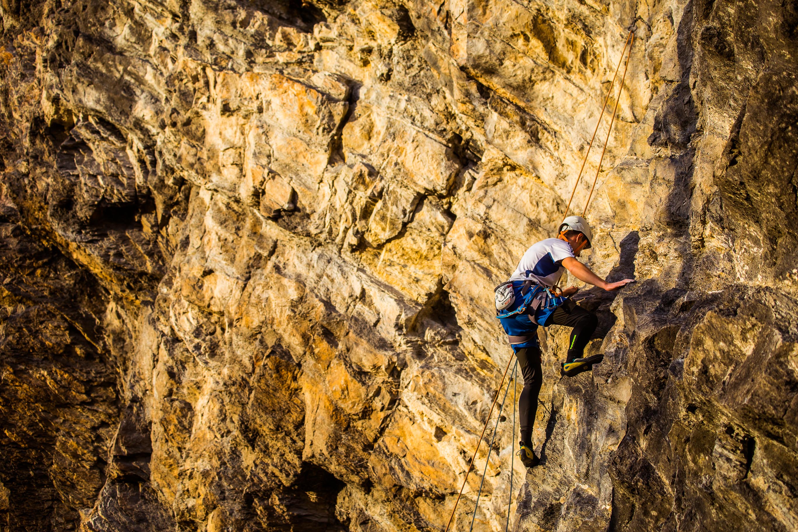 Export medium 5D4 9355 00116