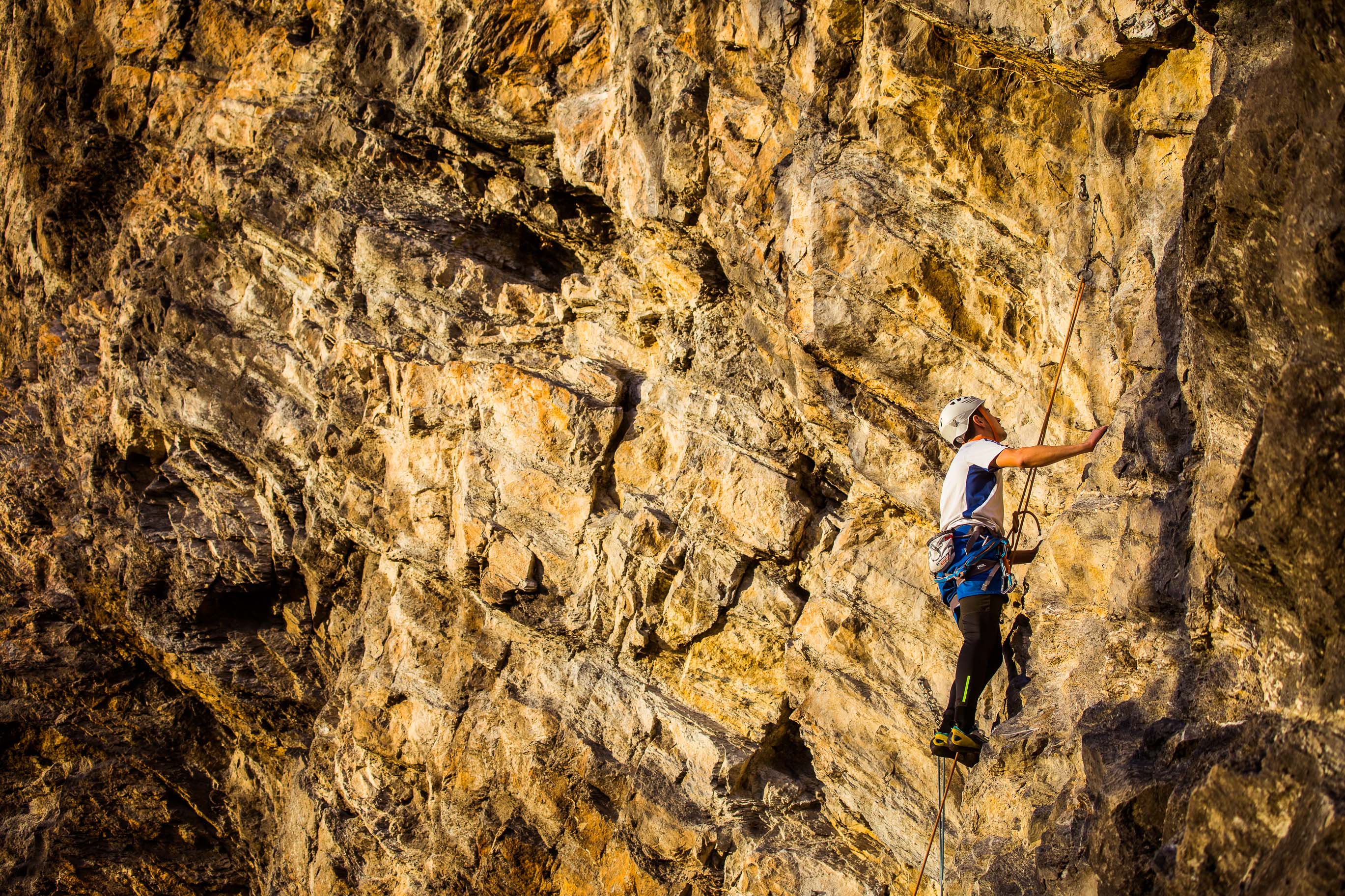 Export medium 5D4 9357 00117