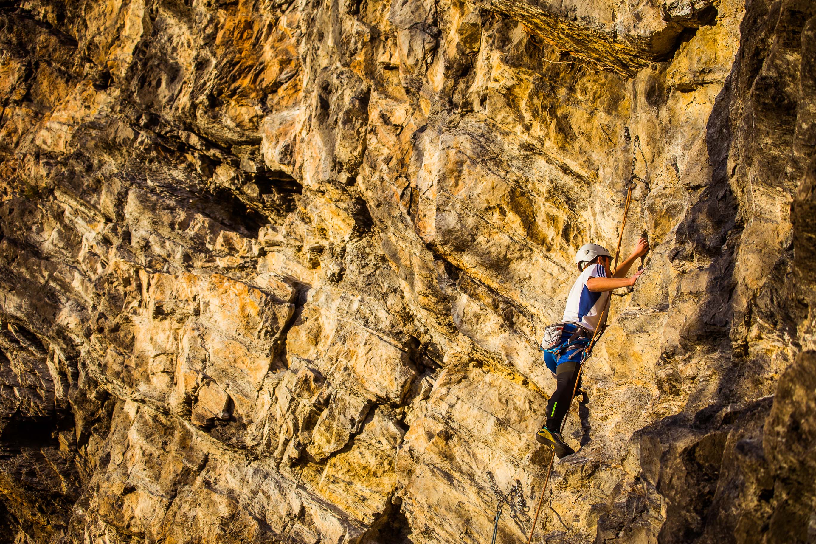 Export medium 5D4 9358 00118