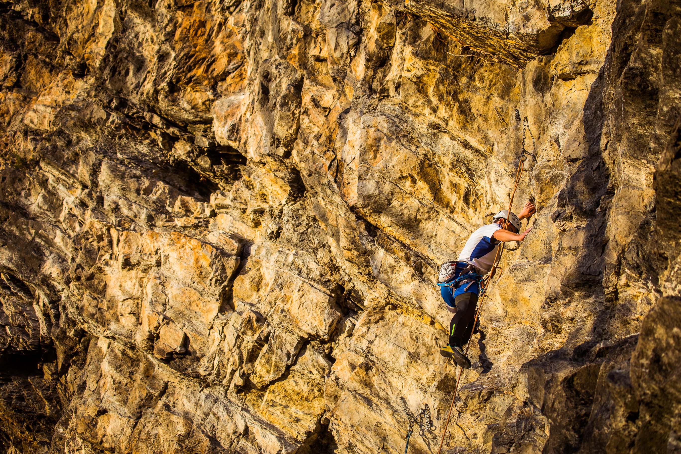 Export medium 5D4 9359 00119