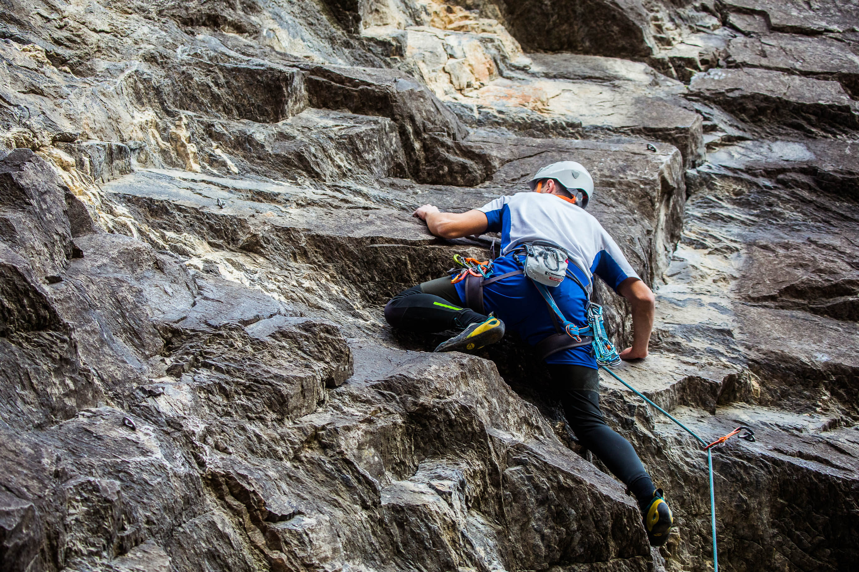 Export medium 5D4 9430 00155