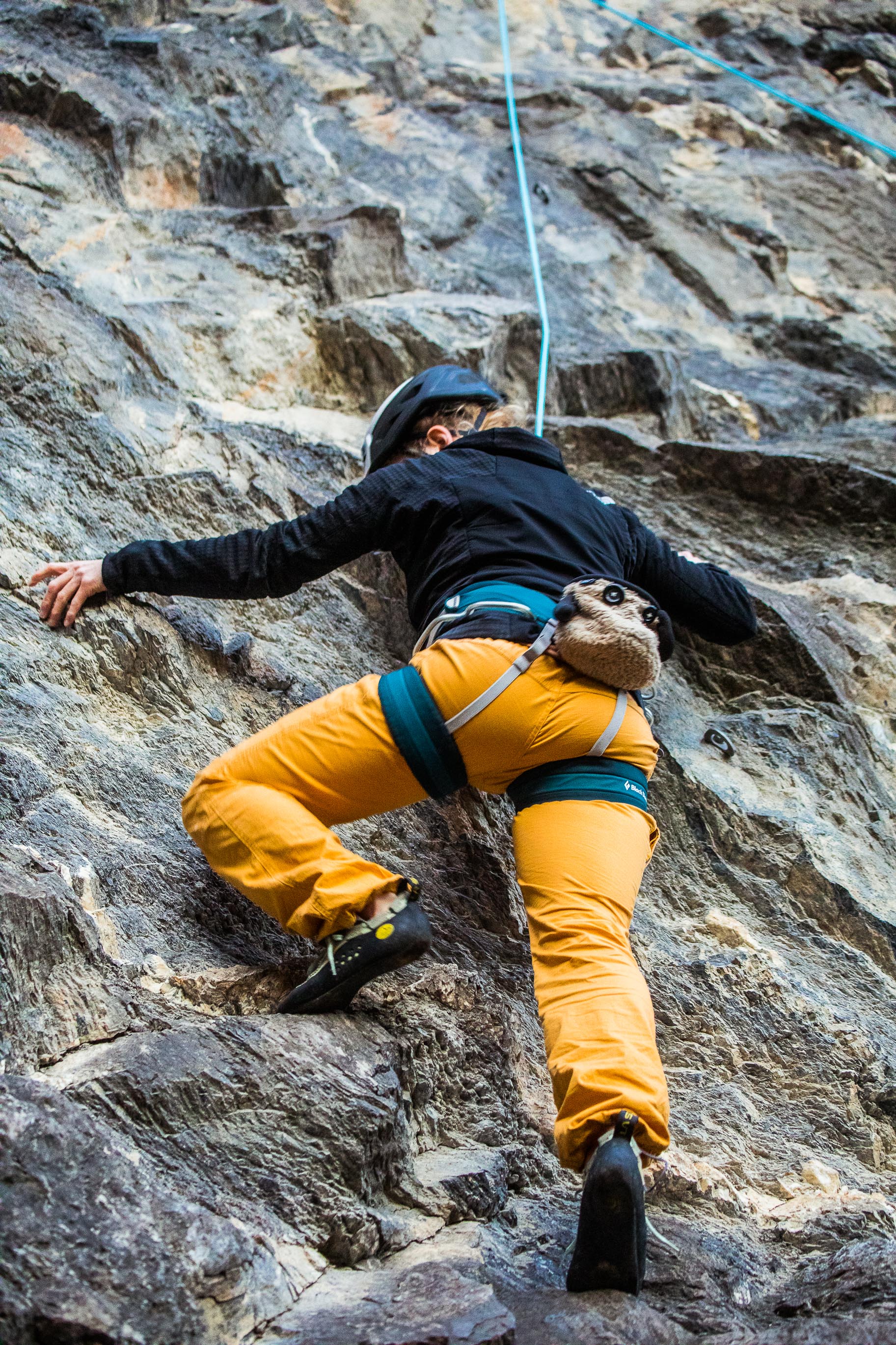 Export medium 5D4 9446 00162