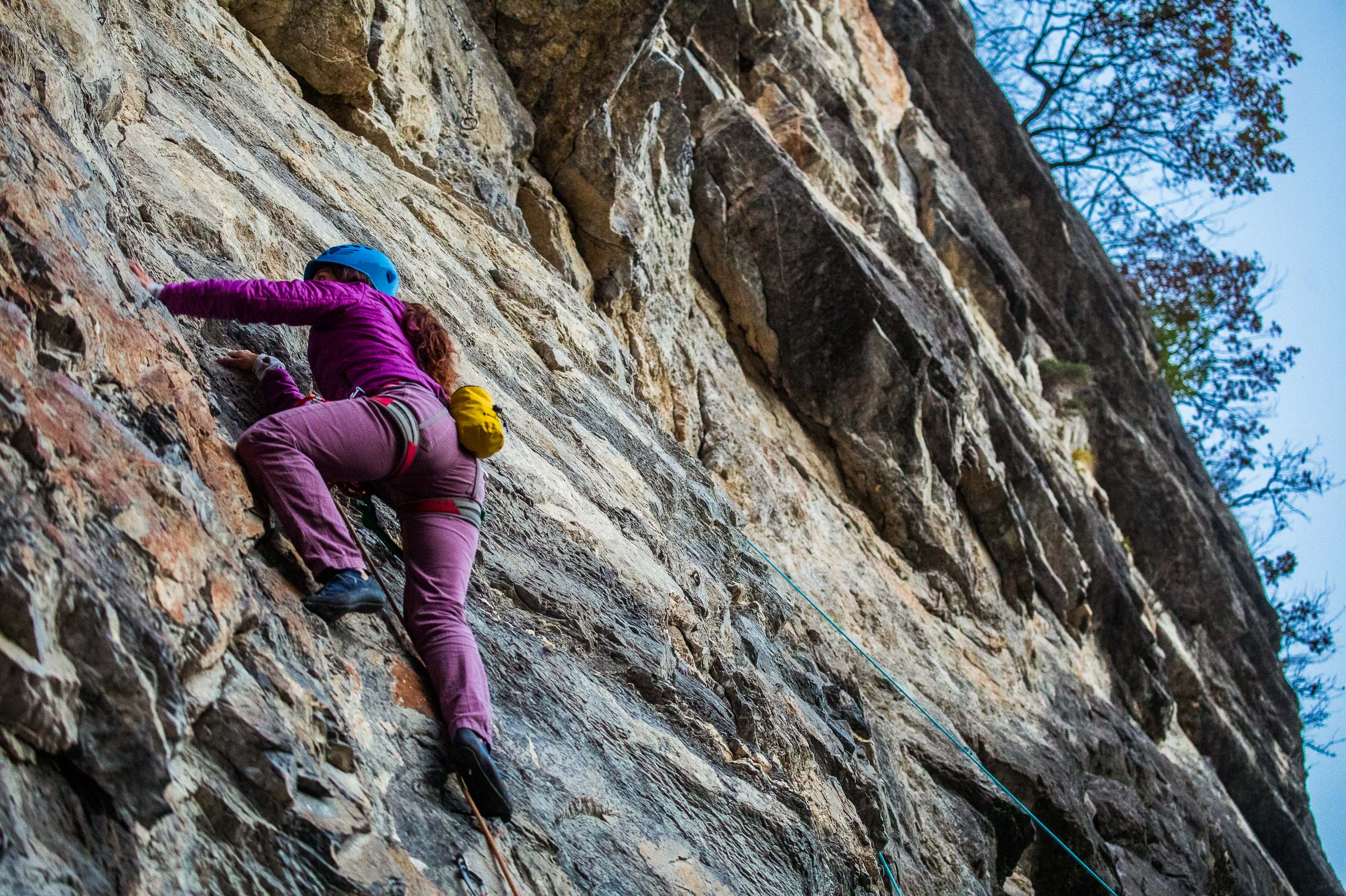 Export medium 5D4 9459 00166