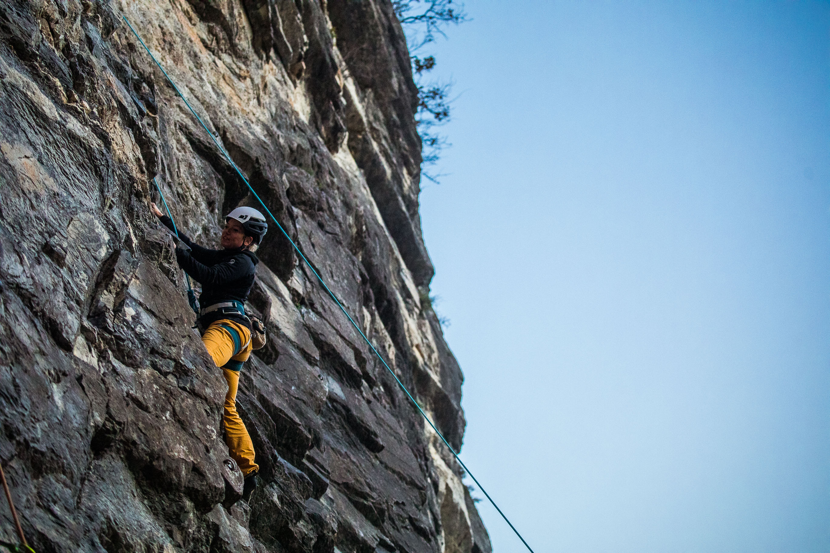 Export medium 5D4 9468 00169