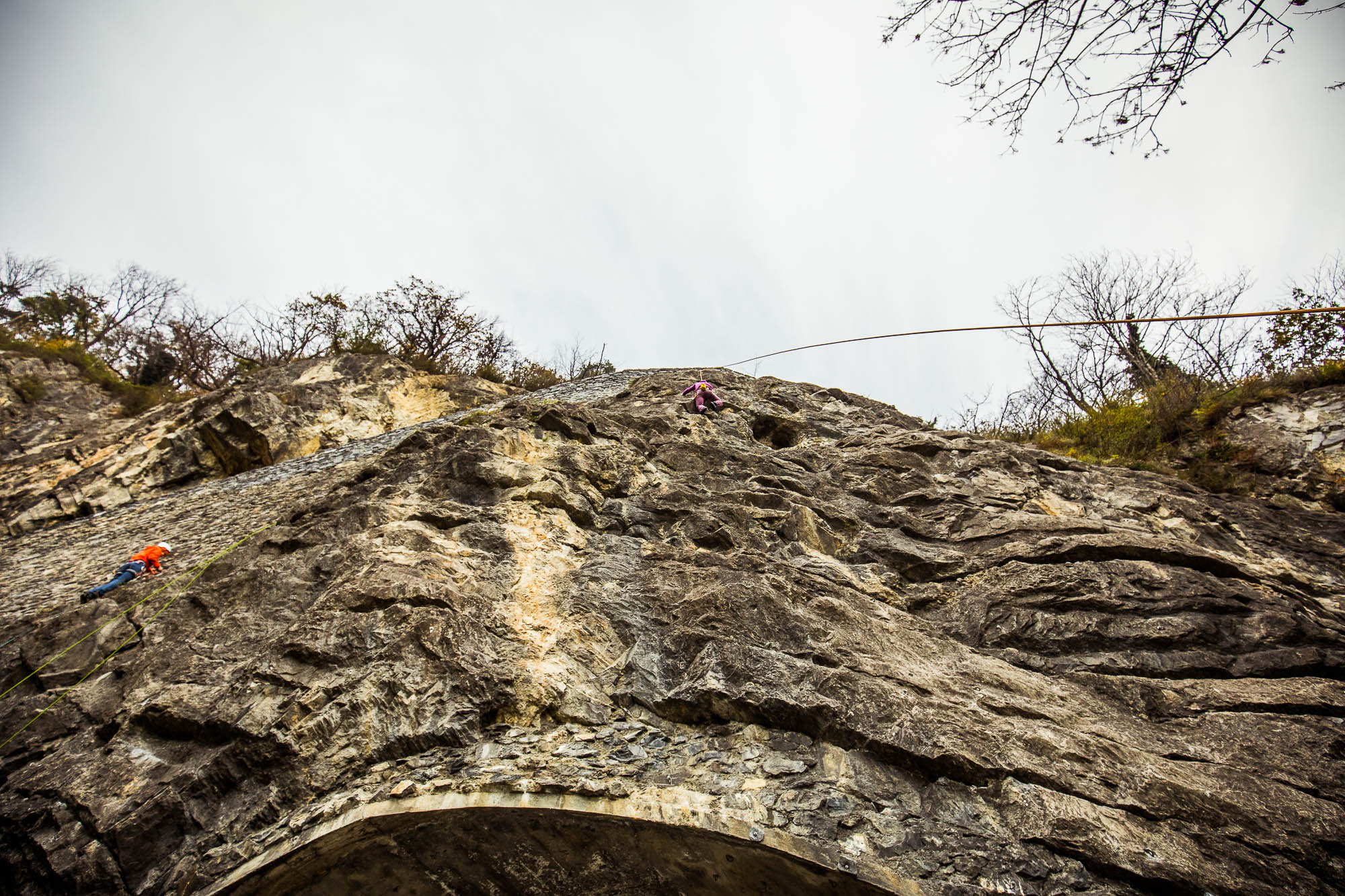 Export x3 5D4 9163 Climbing