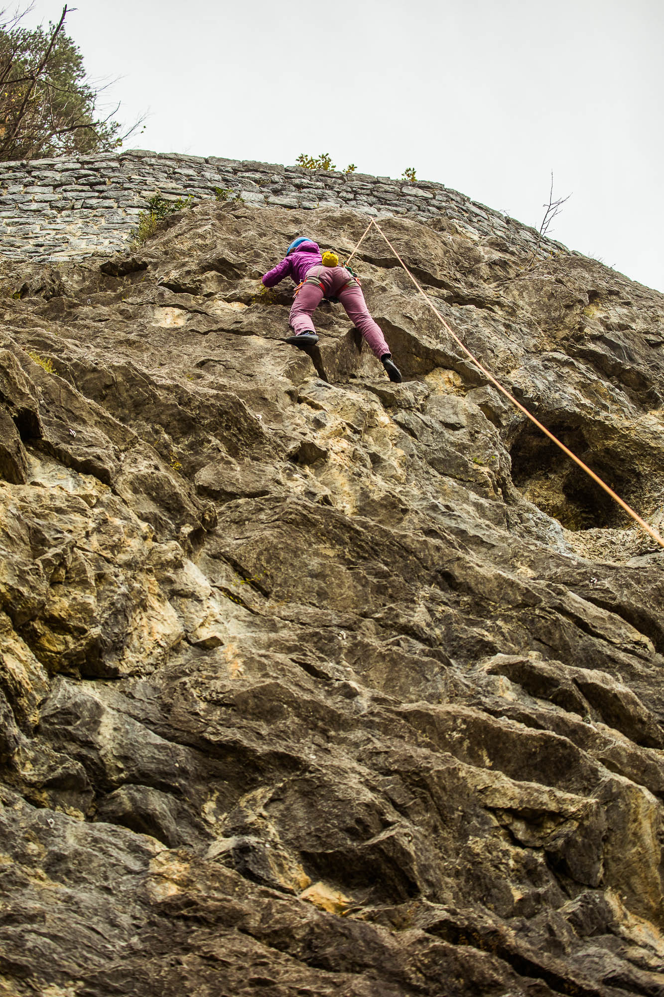 Export x3 5D4 9164 Climbing