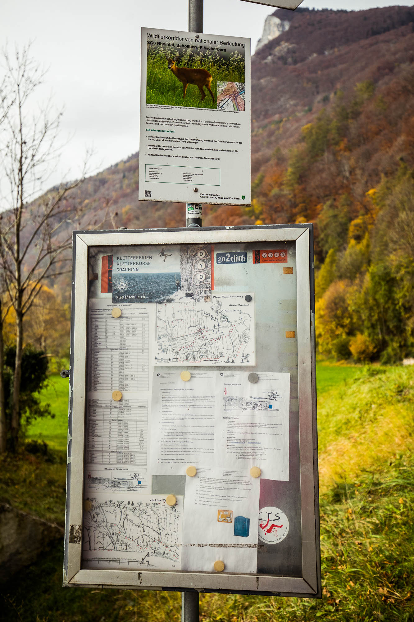 Export x3 5D4 9185 Climbing