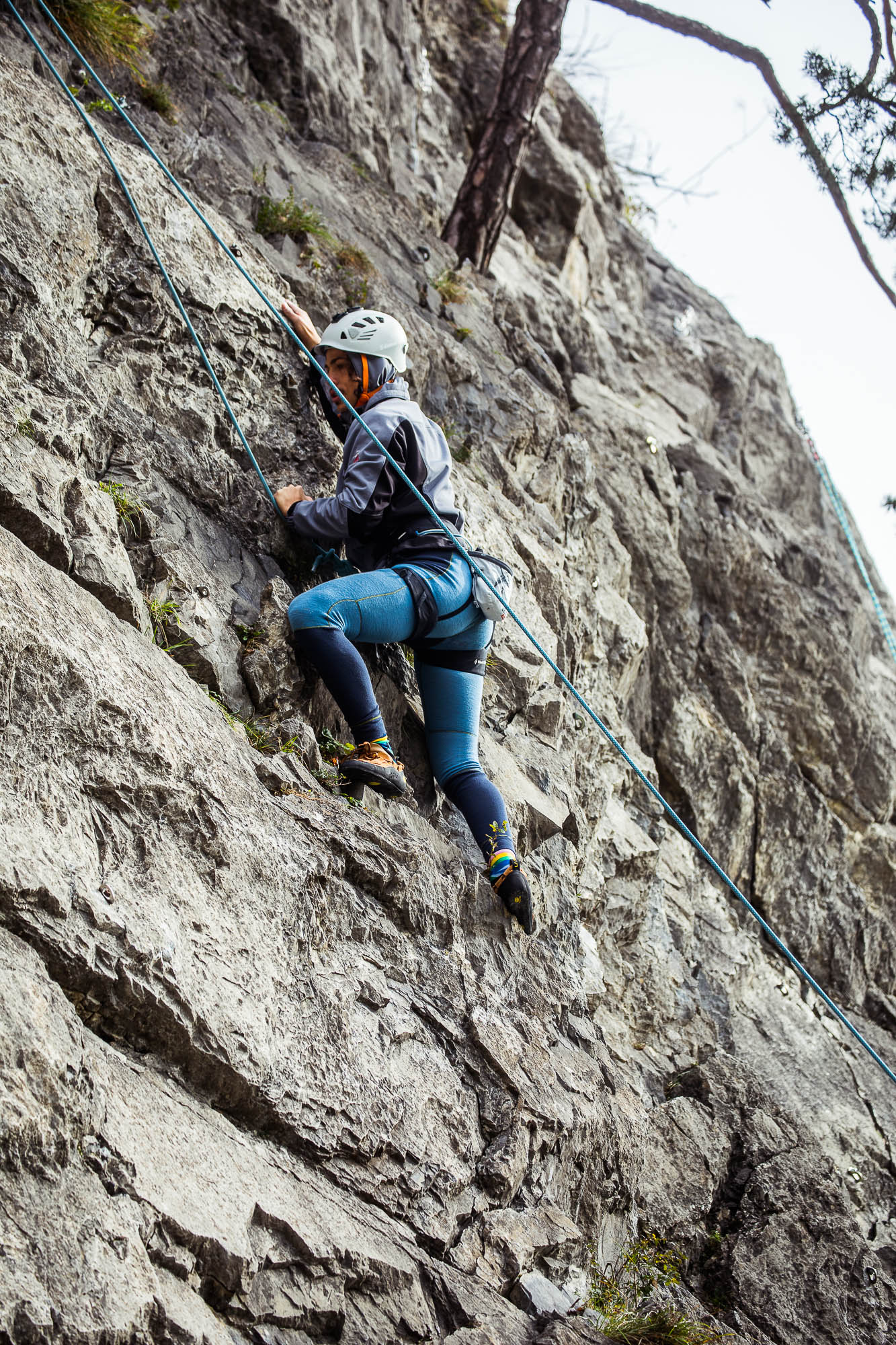 Export x3 5D4 9197 Climbing