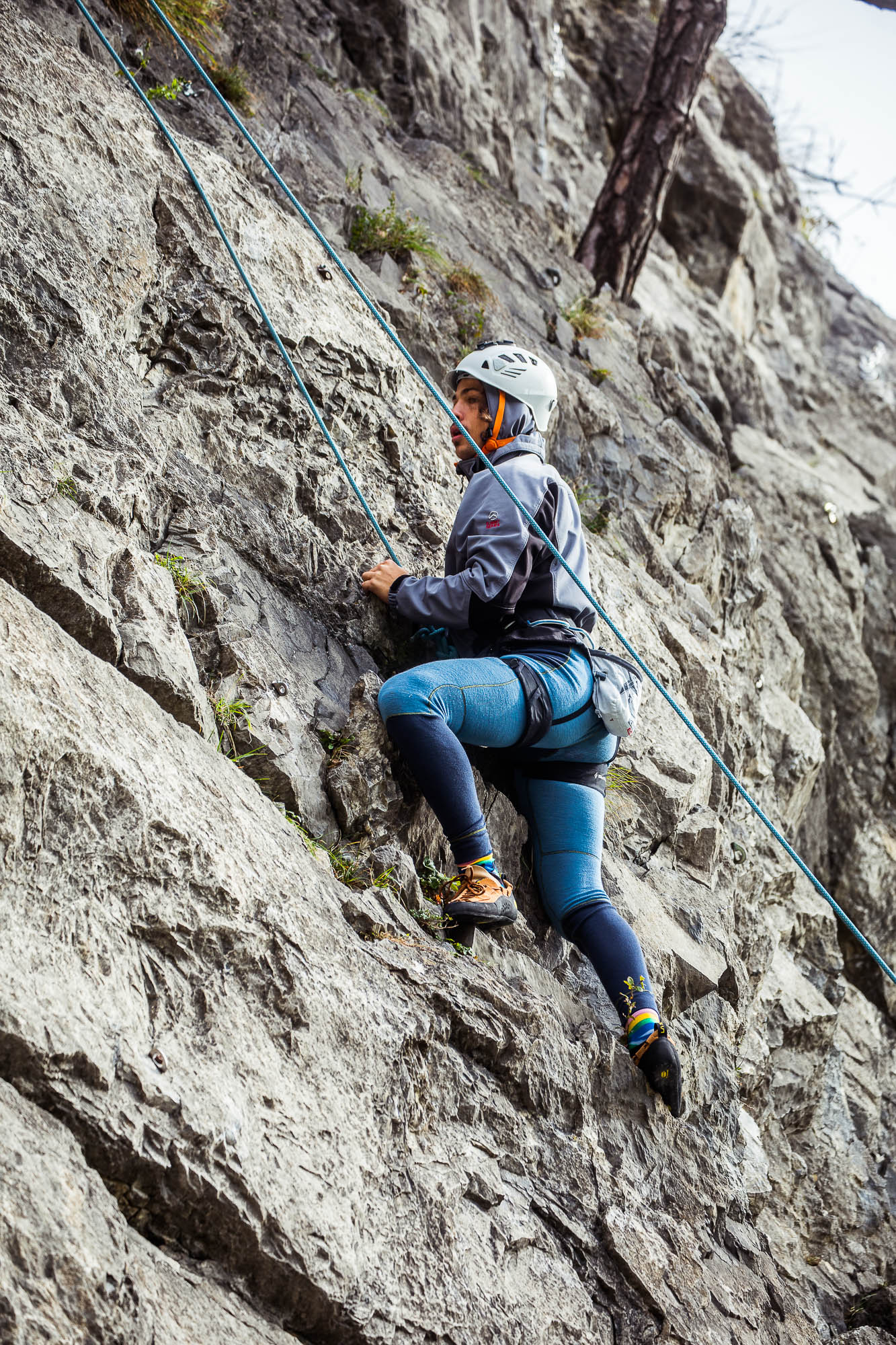 Export x3 5D4 9199 Climbing