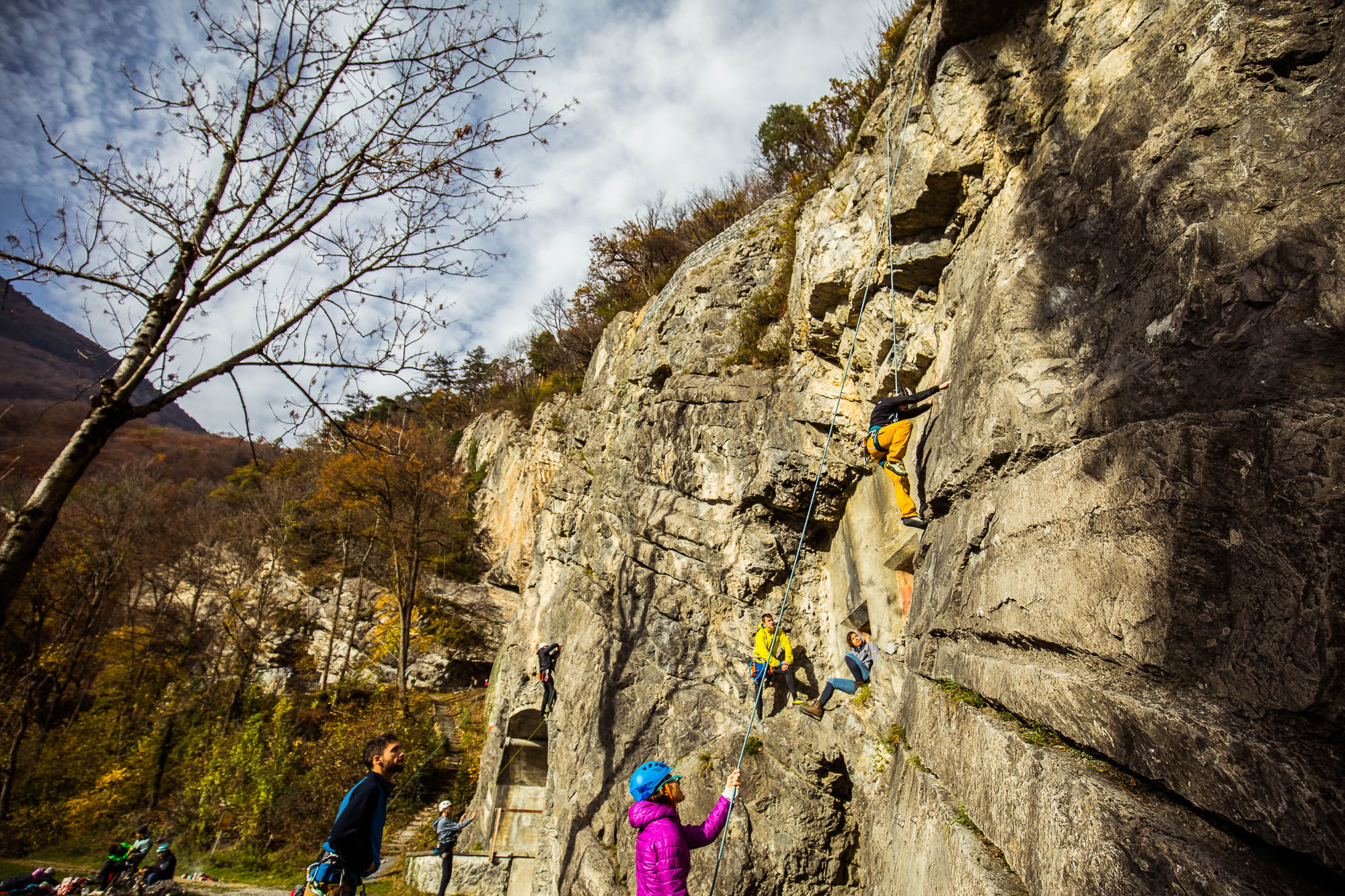 Export x3 5D4 9243 Climbing