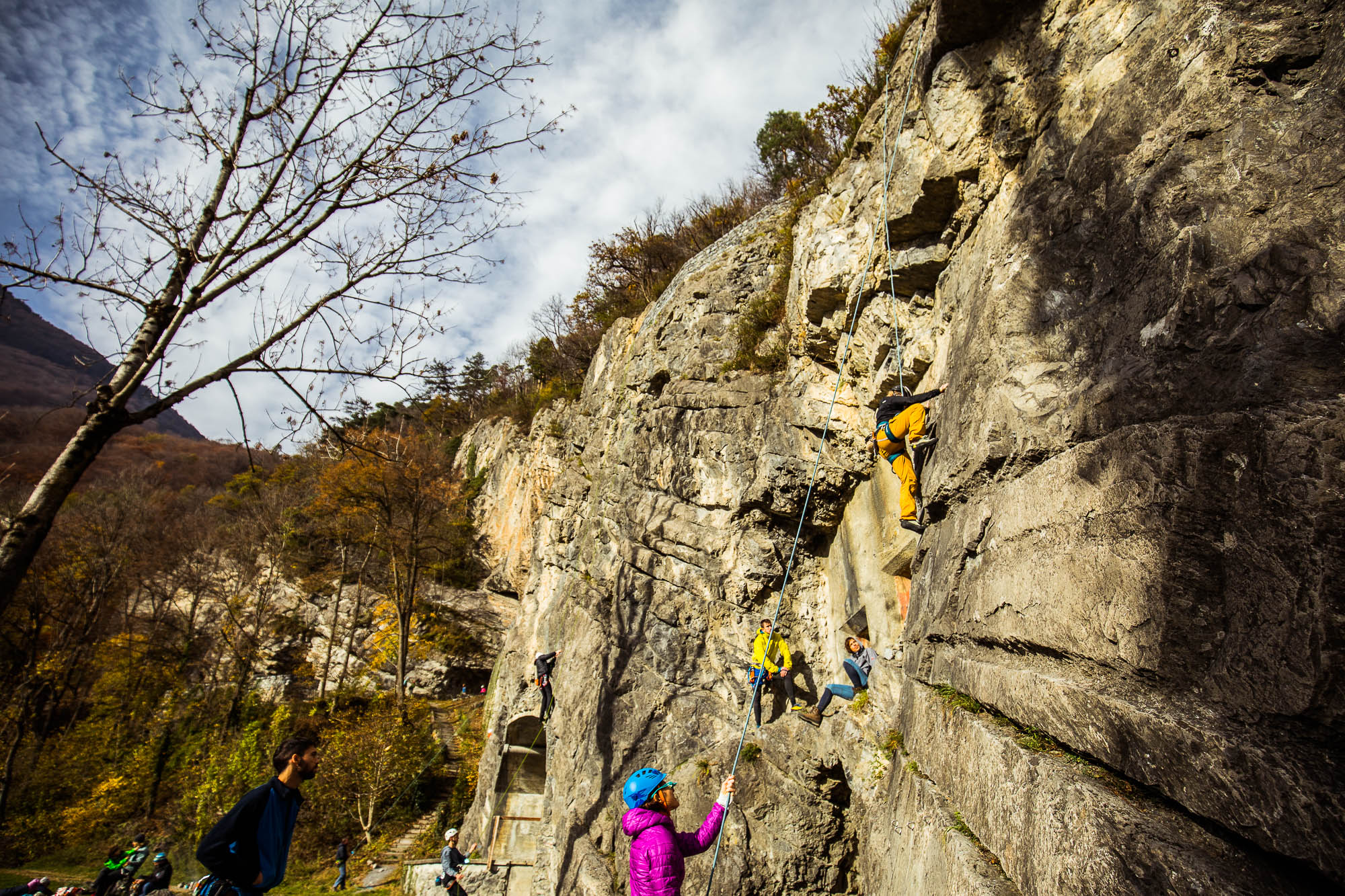 Export x3 5D4 9244 Climbing