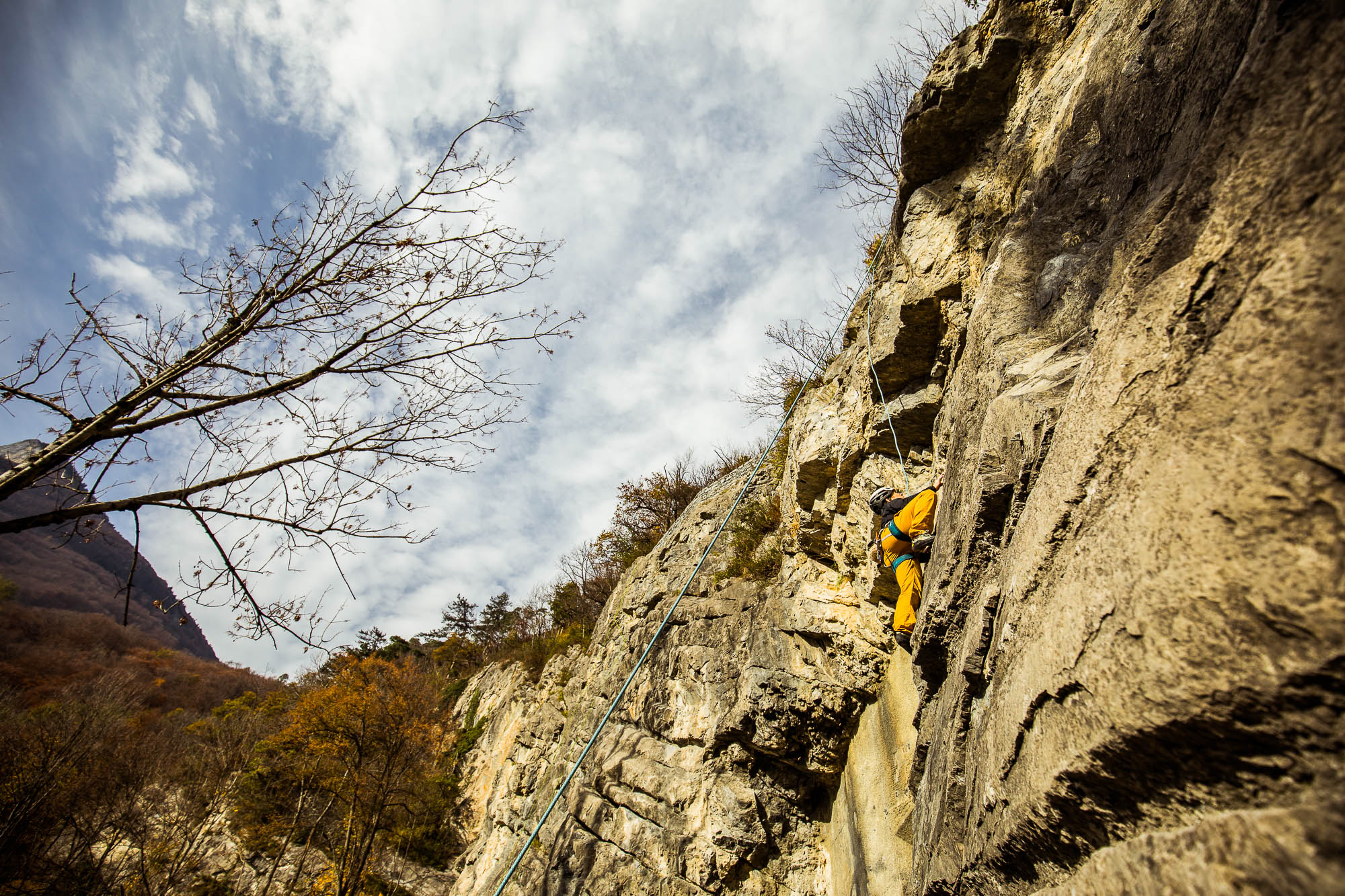 Export x3 5D4 9245 Climbing