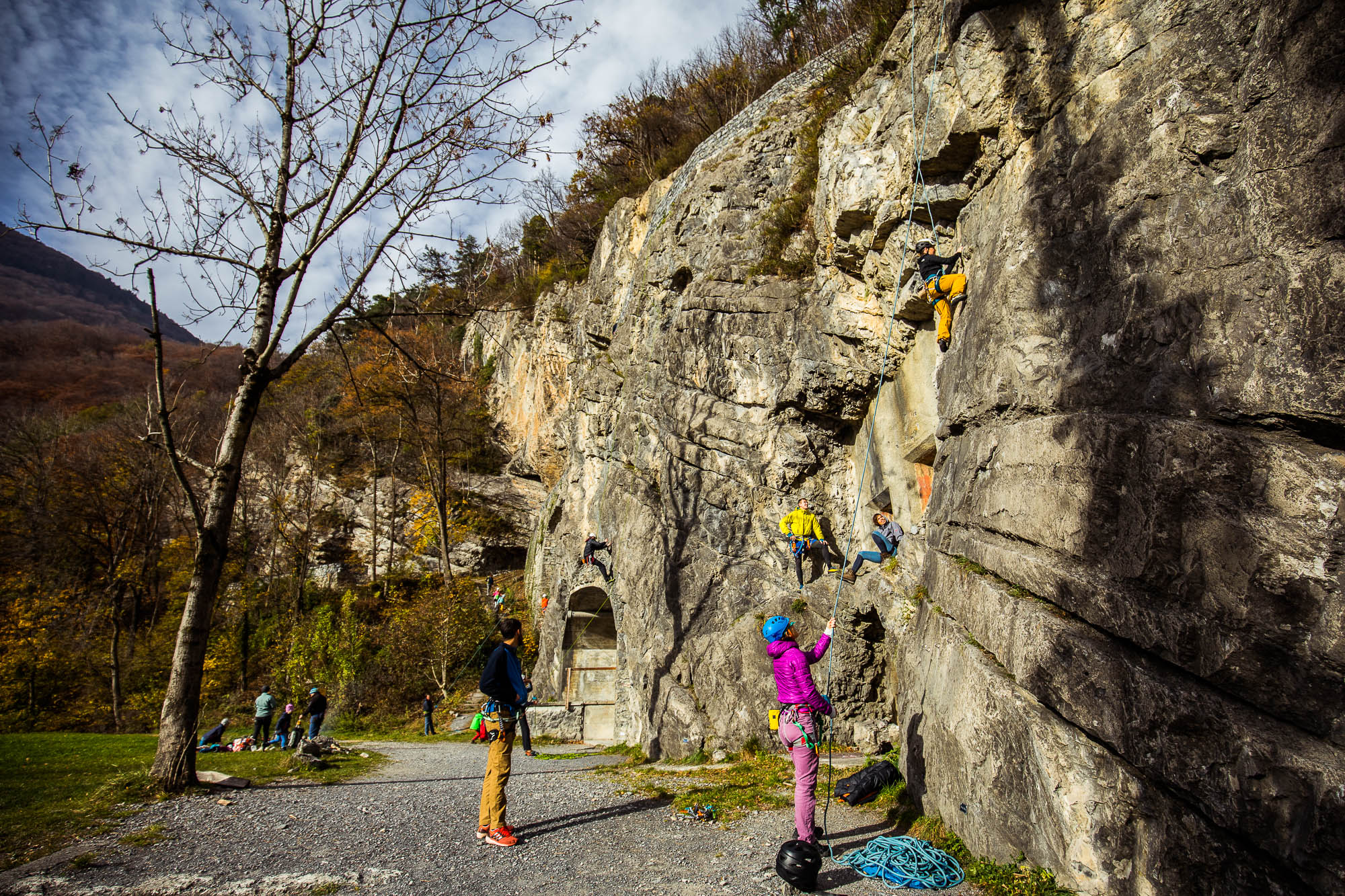 Export x3 5D4 9249 Climbing