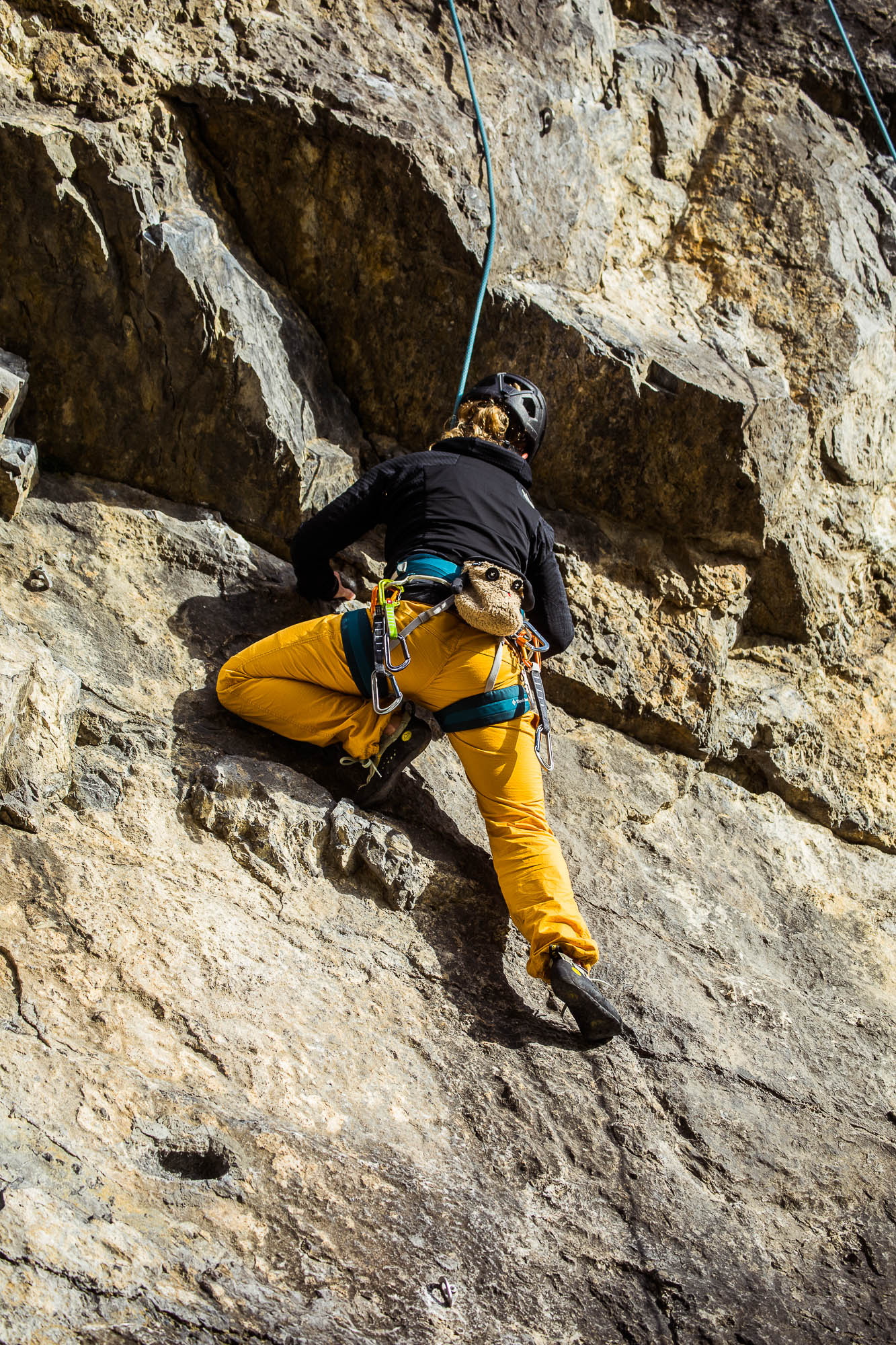 Export x3 5D4 9255 Climbing