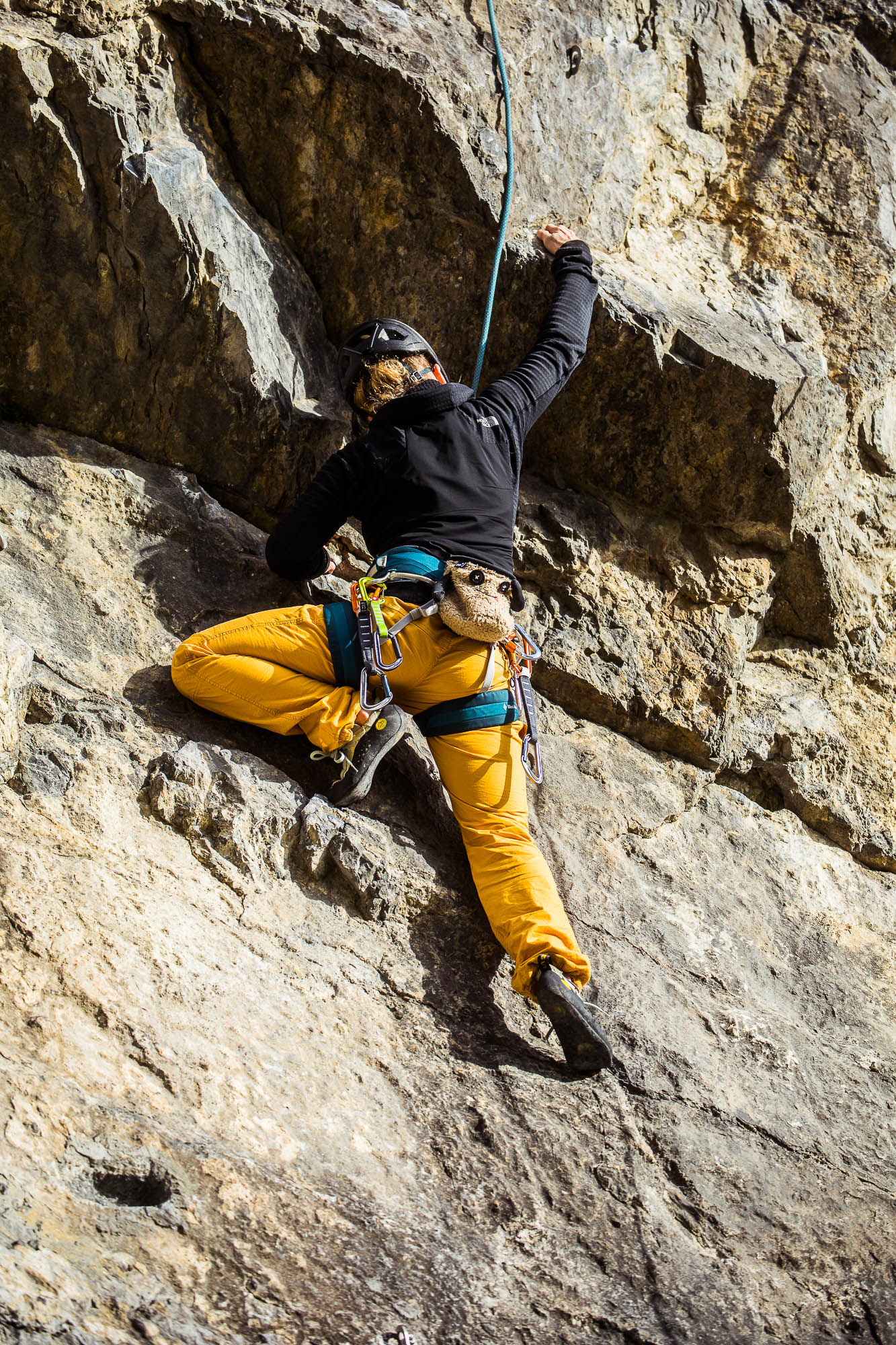 Export x3 5D4 9256 Climbing