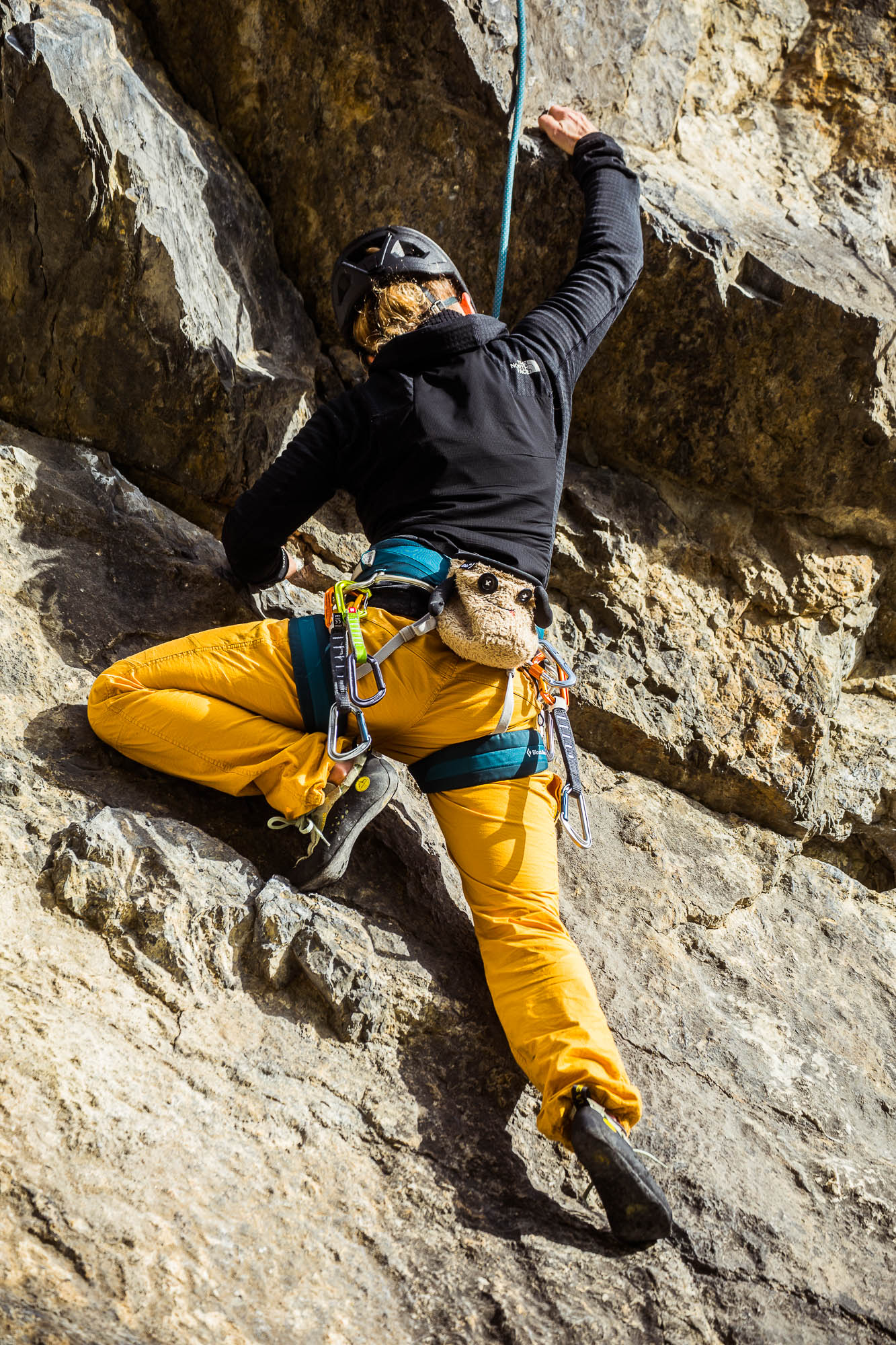 Export x3 5D4 9257 Climbing