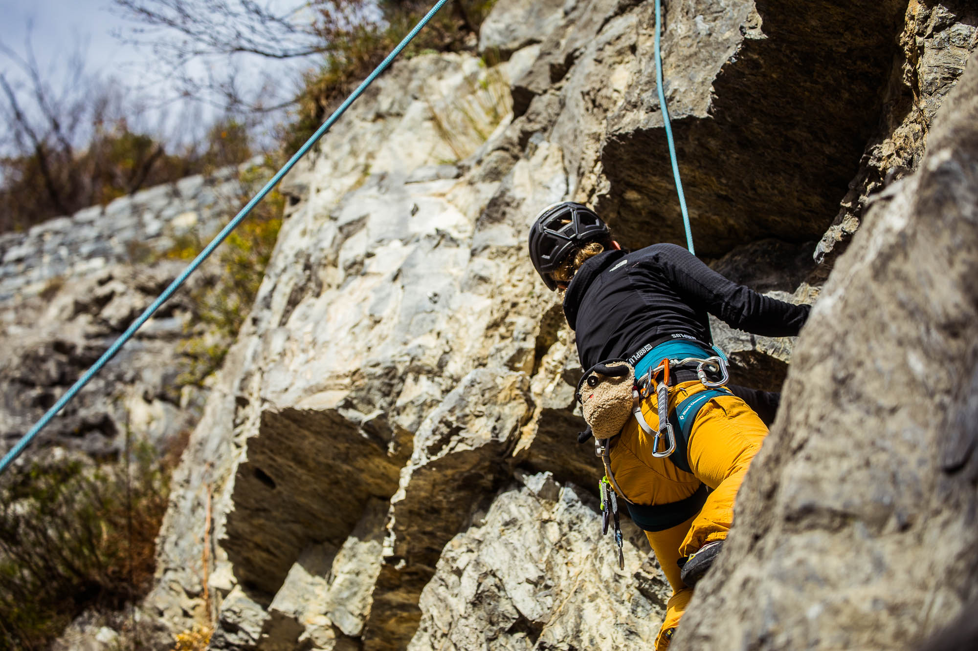 Export x3 5D4 9263 Climbing