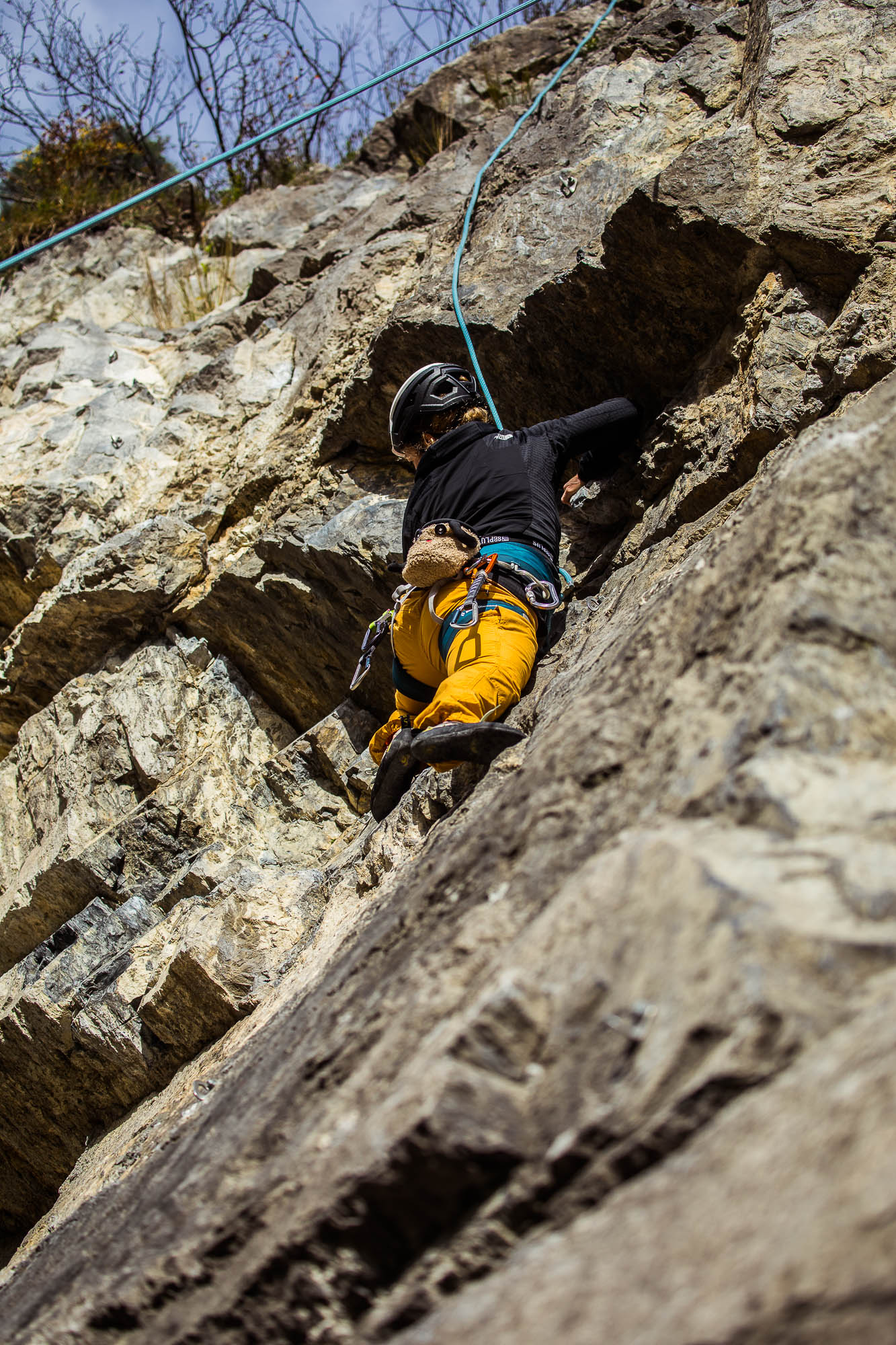 Export x3 5D4 9266 Climbing