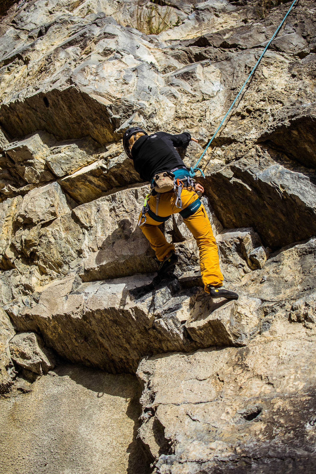 Export x3 5D4 9272 Climbing