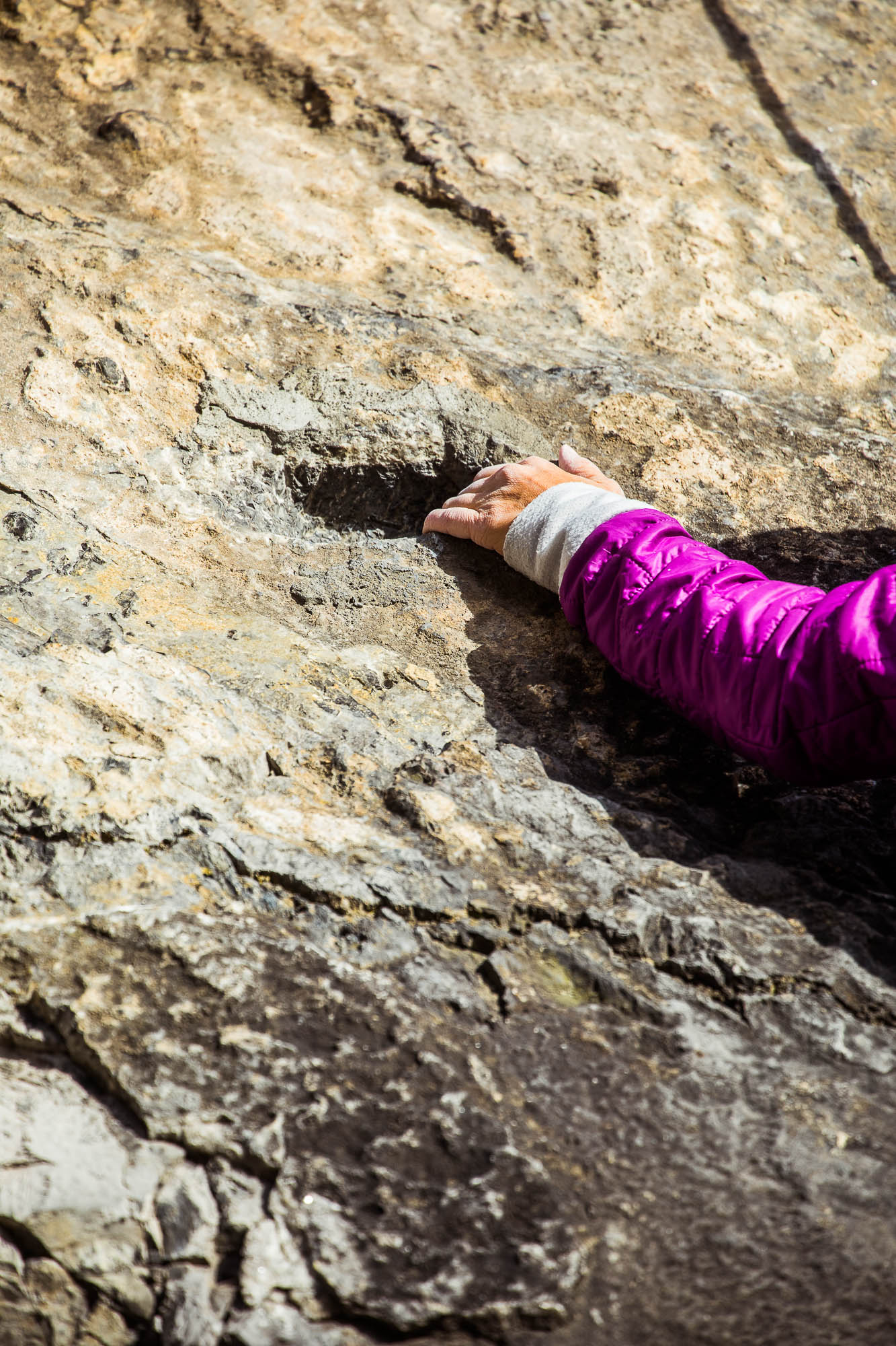 Export x3 5D4 9294 Climbing