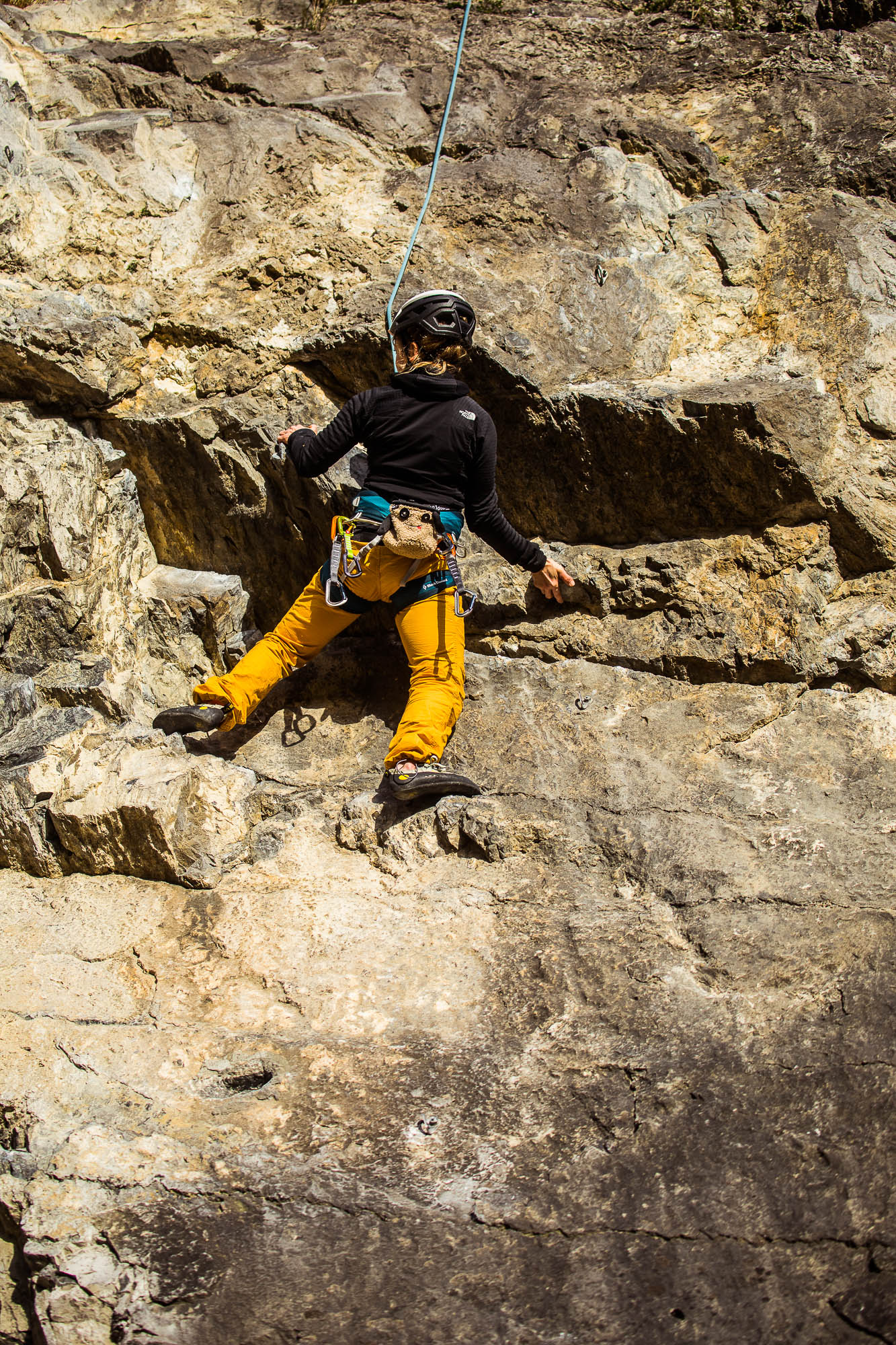 Export x3 5D4 9319 Climbing