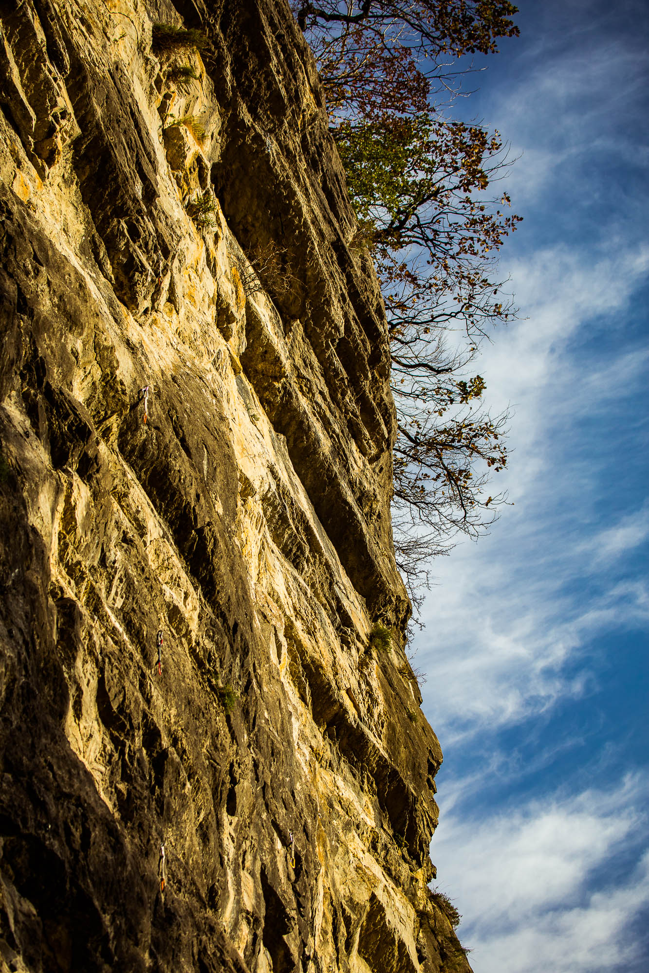 Export x3 5D4 9323 Climbing