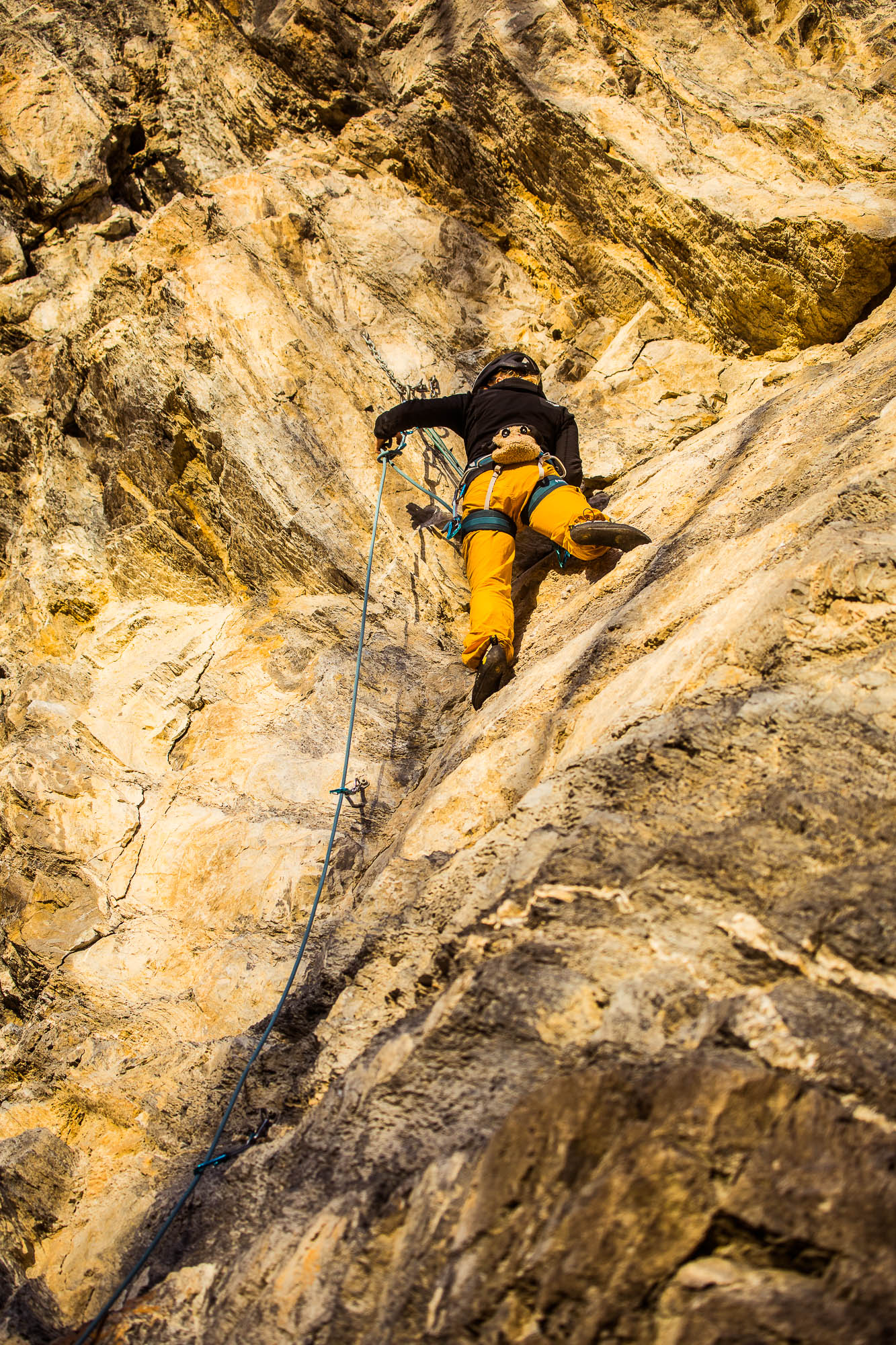 Export x3 5D4 9331 Climbing