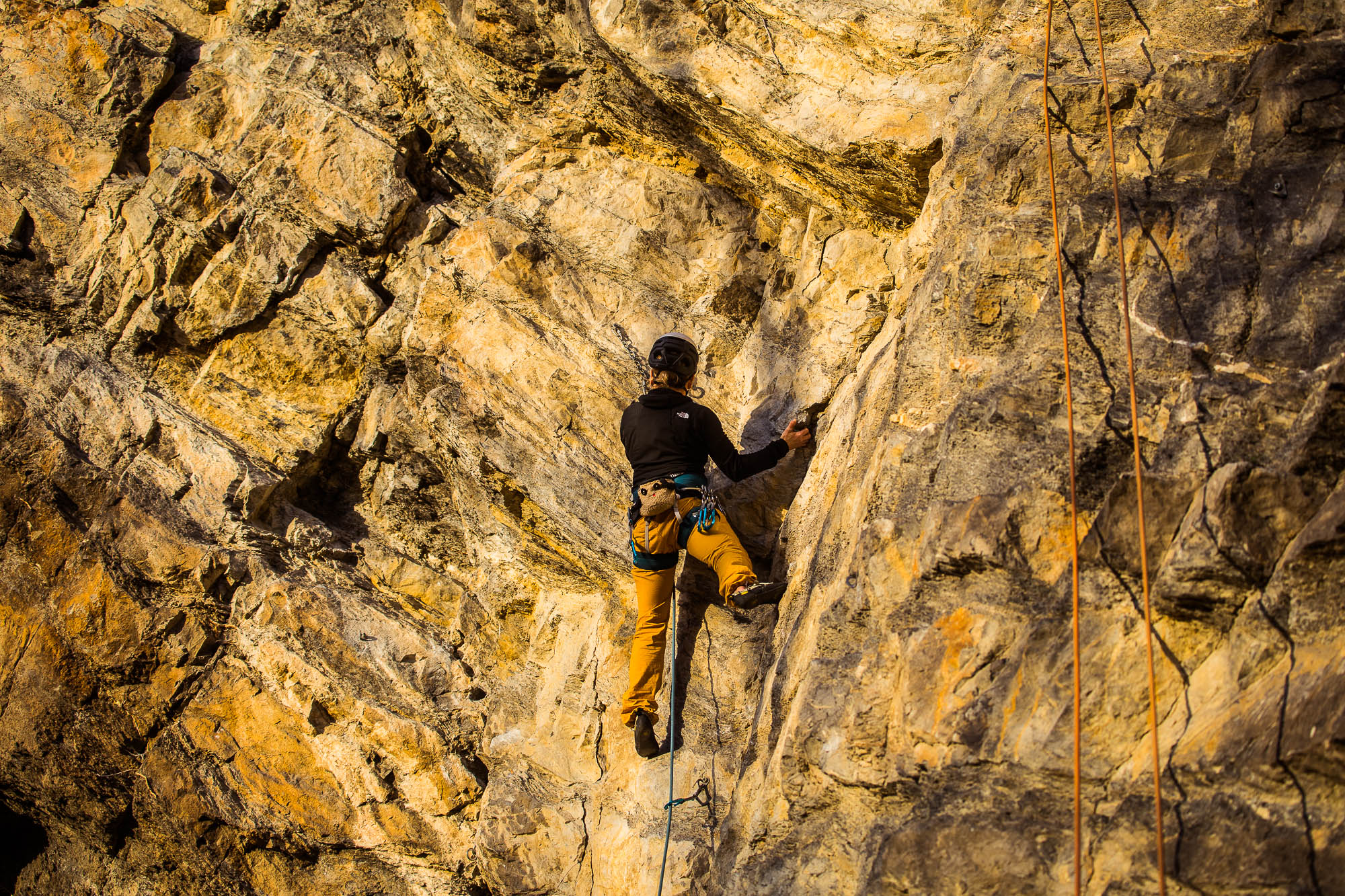 Export x3 5D4 9334 Climbing