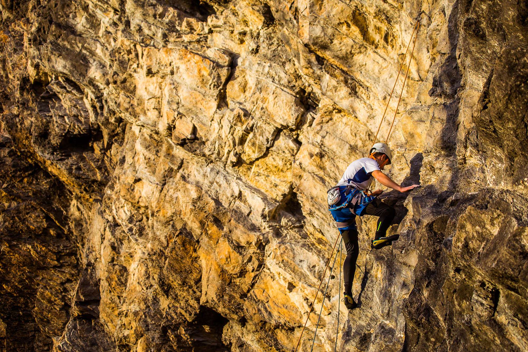 Export x3 5D4 9355 Climbing